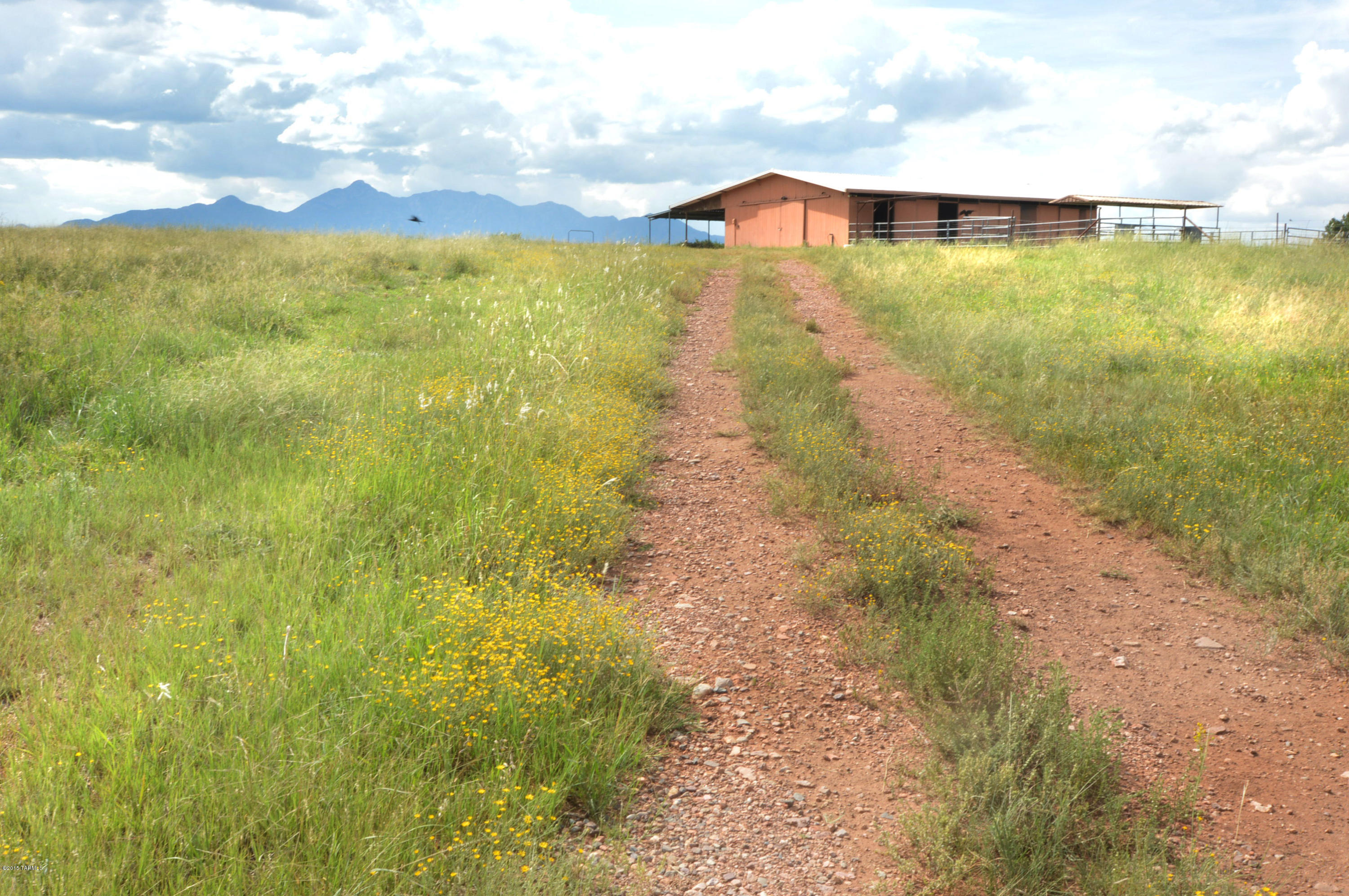 Out Of Pima County - Residential