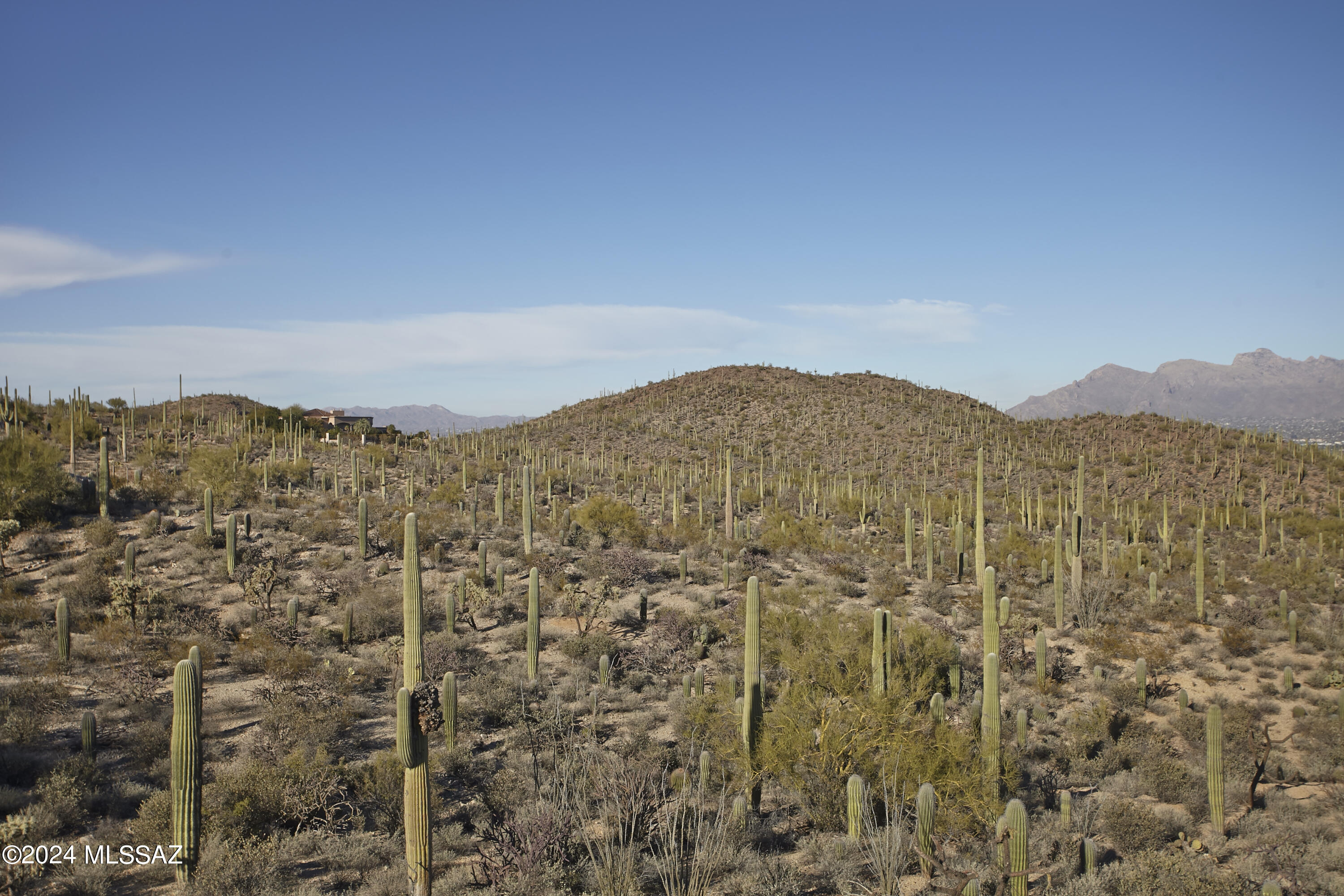 Estates at Starr Pass (The) - Residential