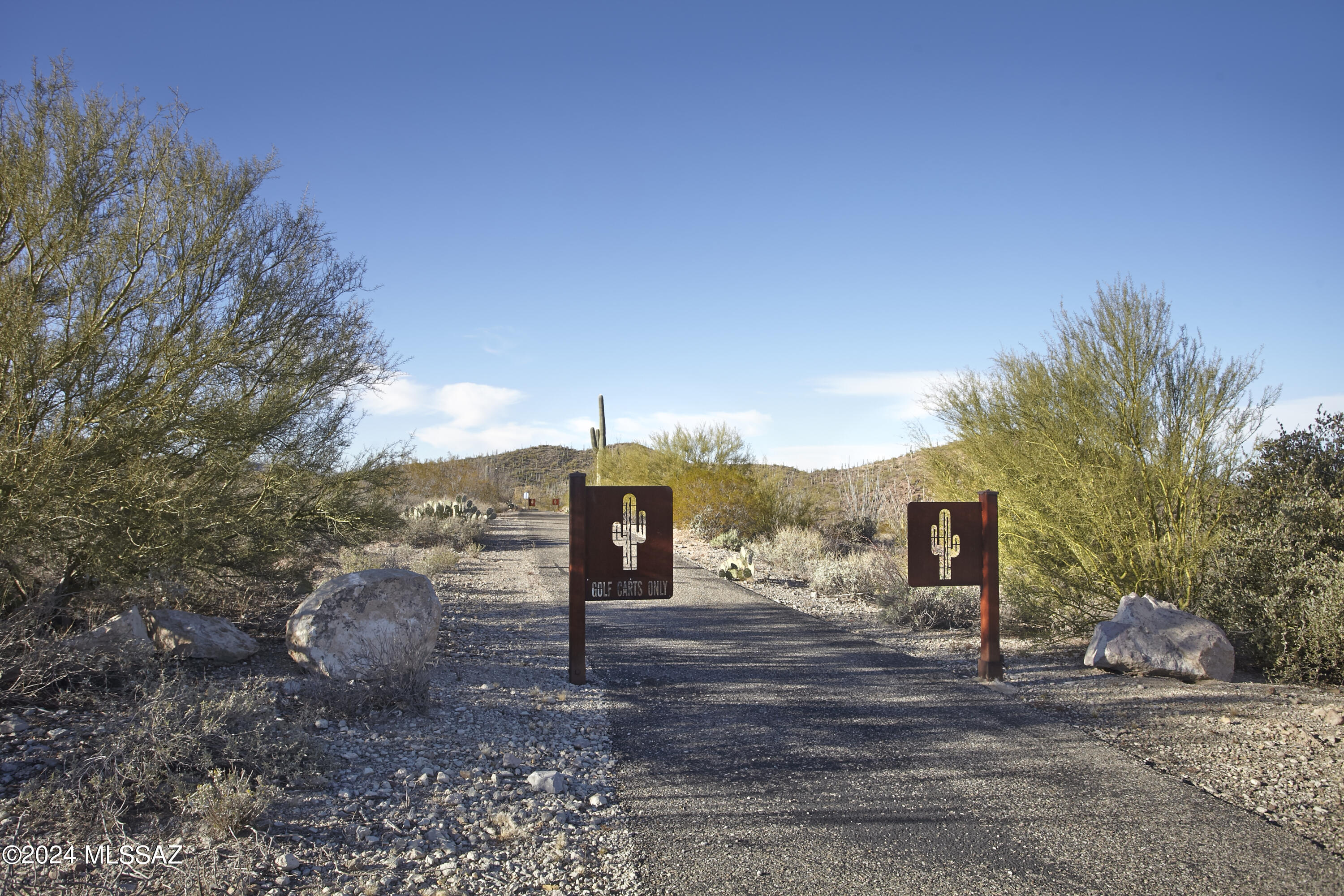 Estates at Starr Pass (The) - Residential