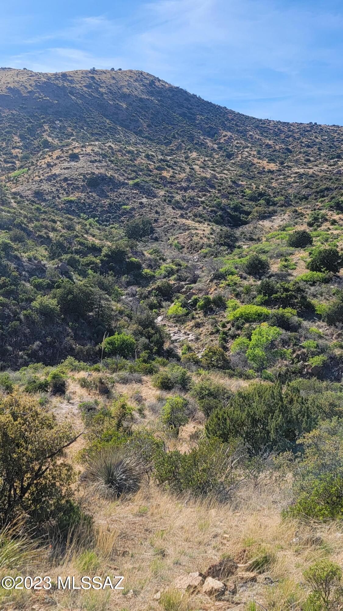 None - Land