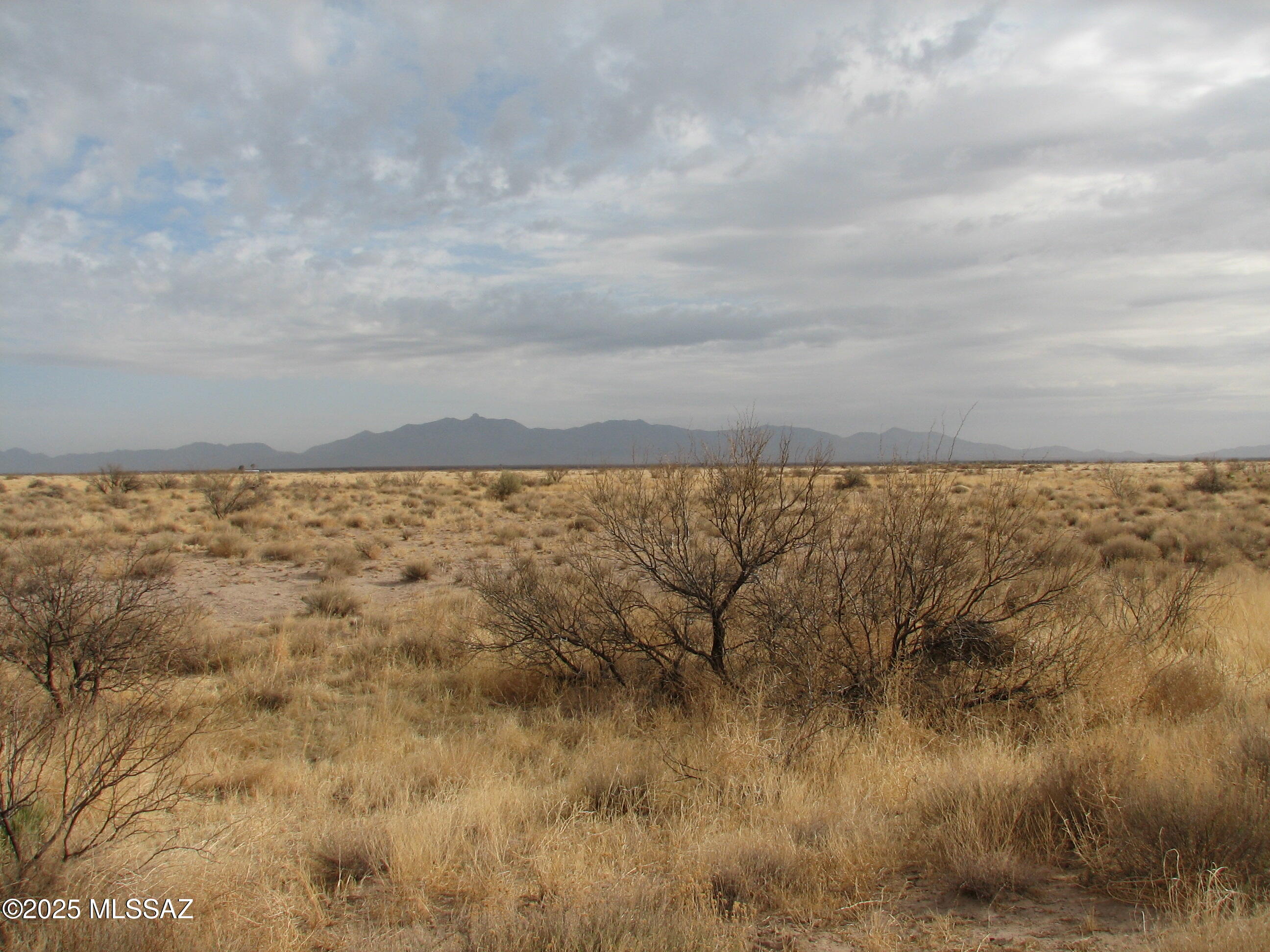 97.5 Acre E Parker Ranch Road