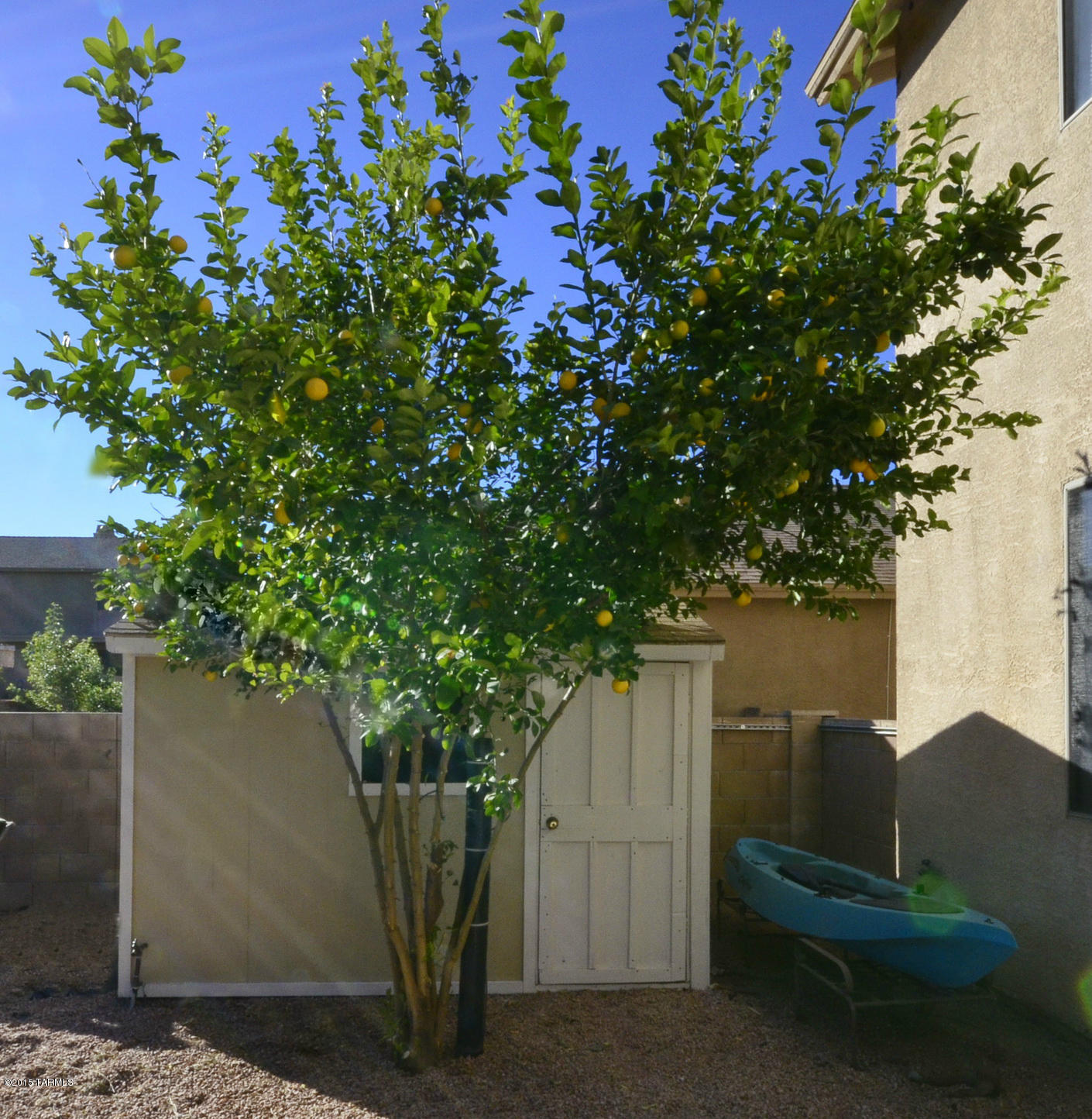 Rincon Vista at Rita Ranch (1-200) - Residential