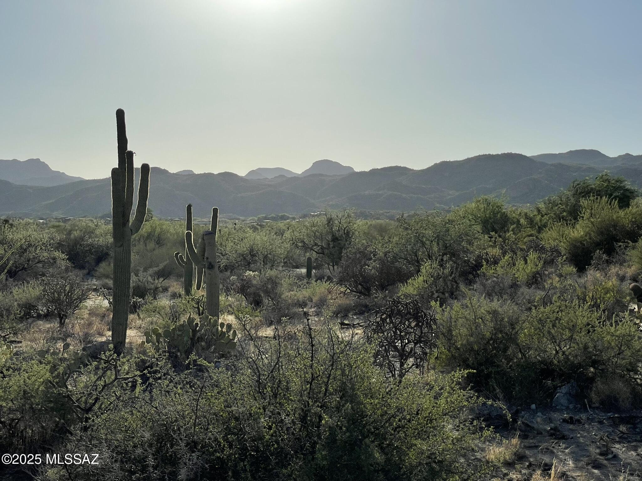 923 W Tortolita Mountain Circle .