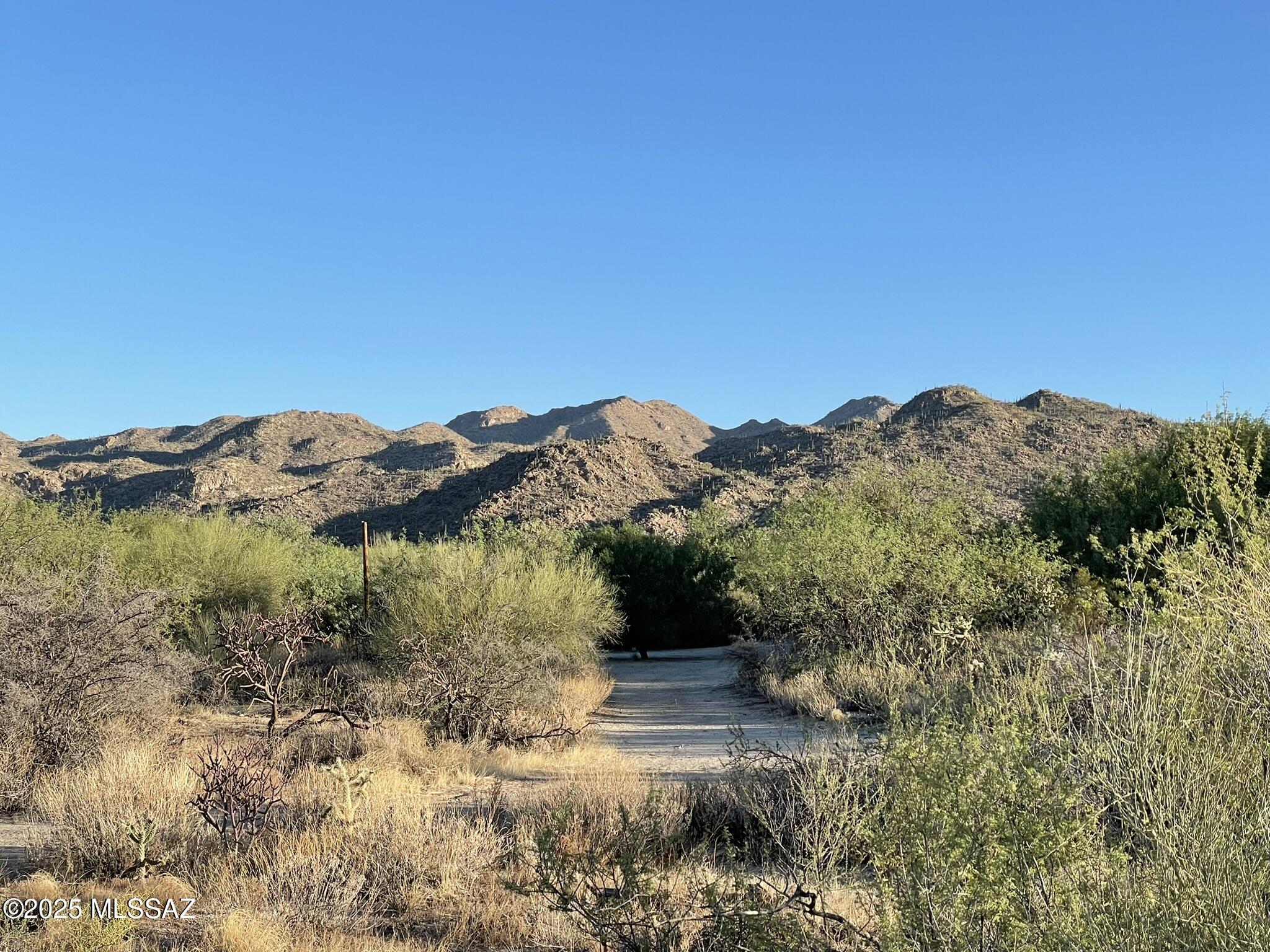 923 W Tortolita Mountain Circle .