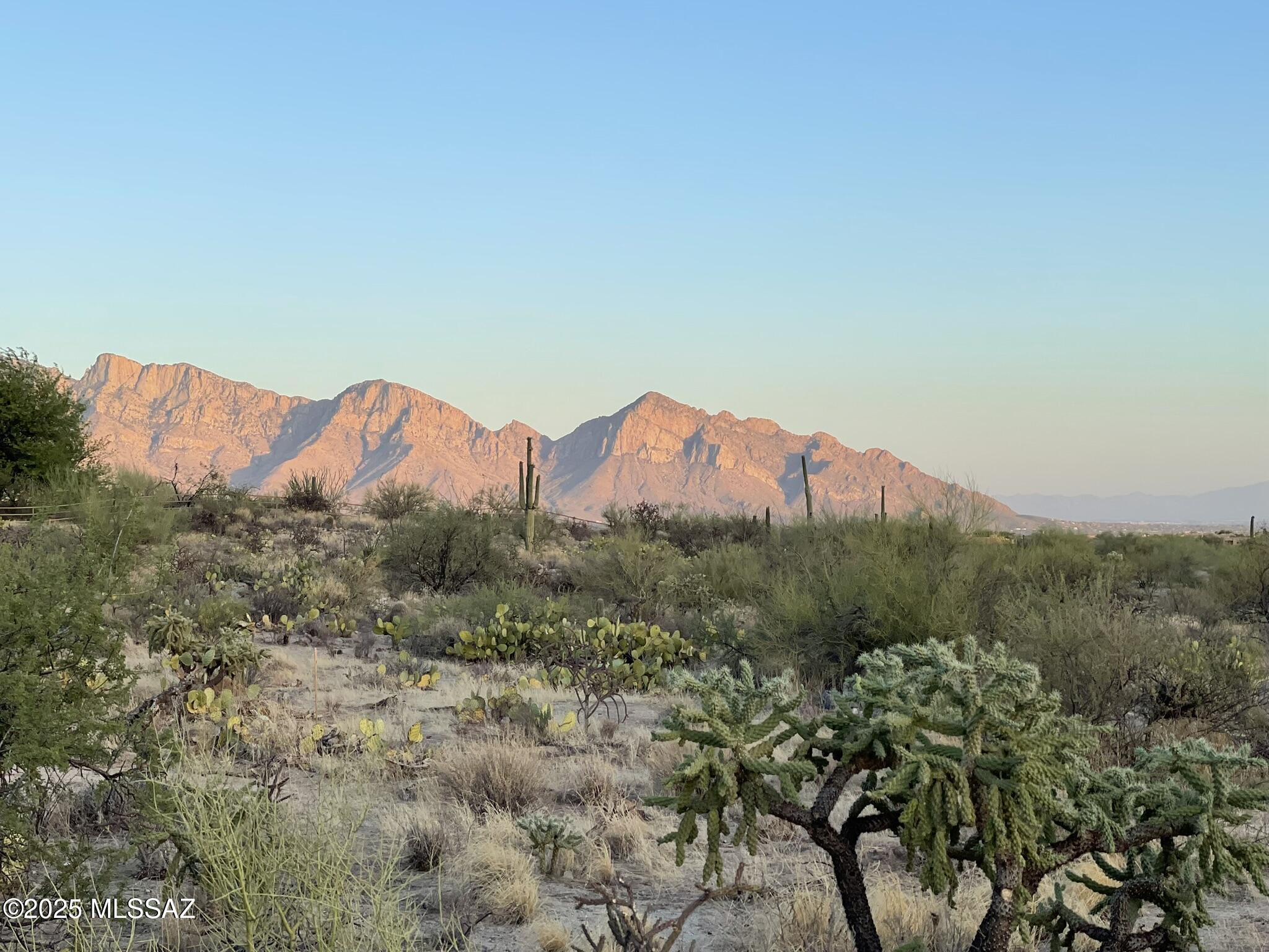 923 W Tortolita Mountain Circle .