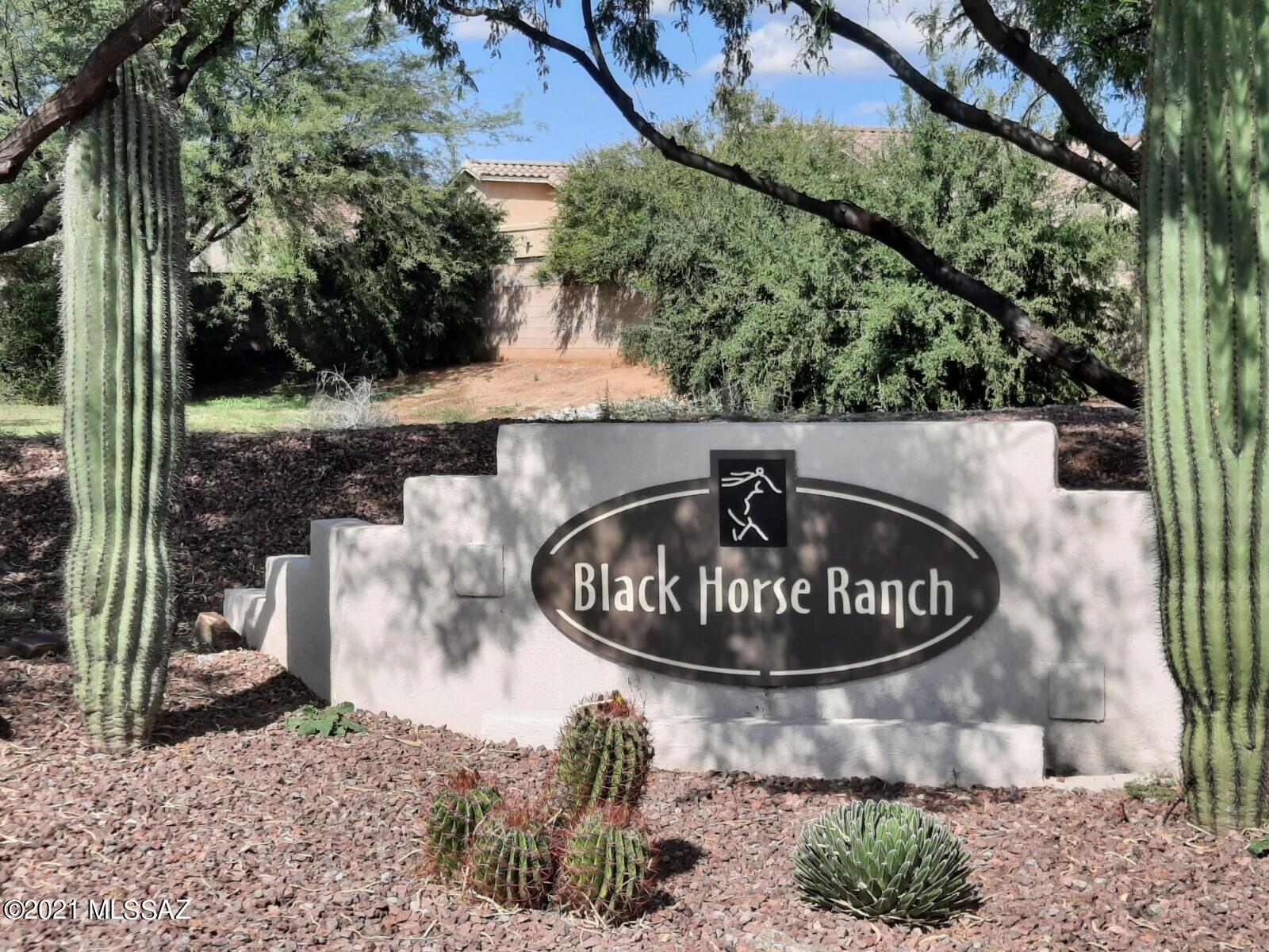 Black Horse (1-411) - Residential