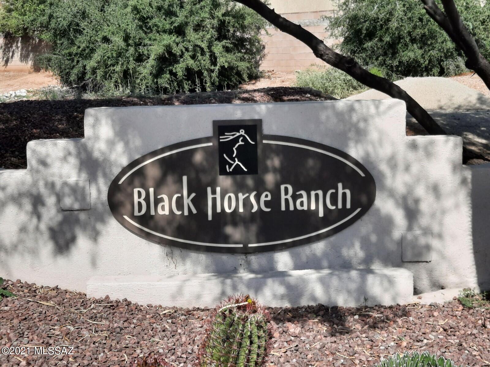 Black Horse (1-411) - Residential