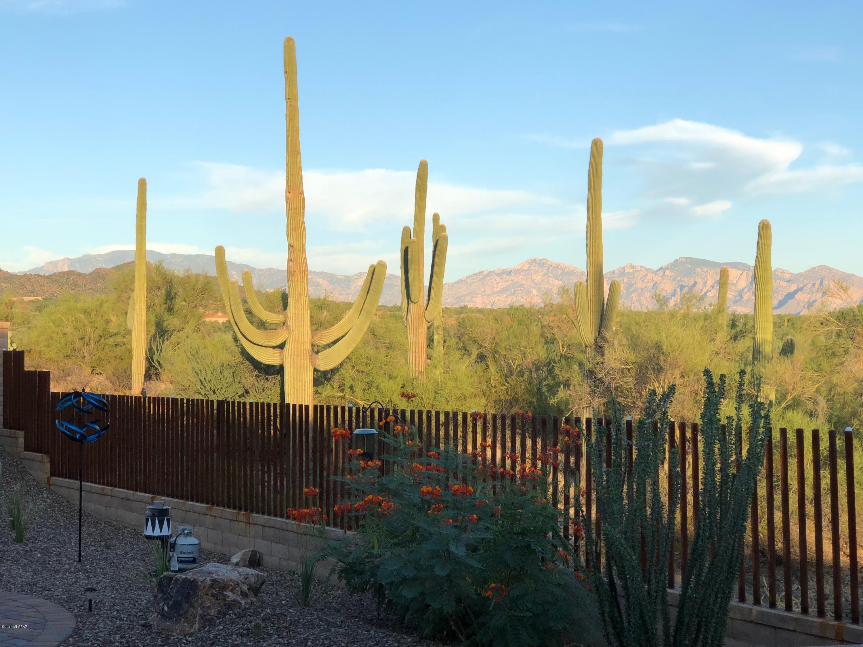 Los Saguaros At Dove Mountain SQ20121640199 - Residential