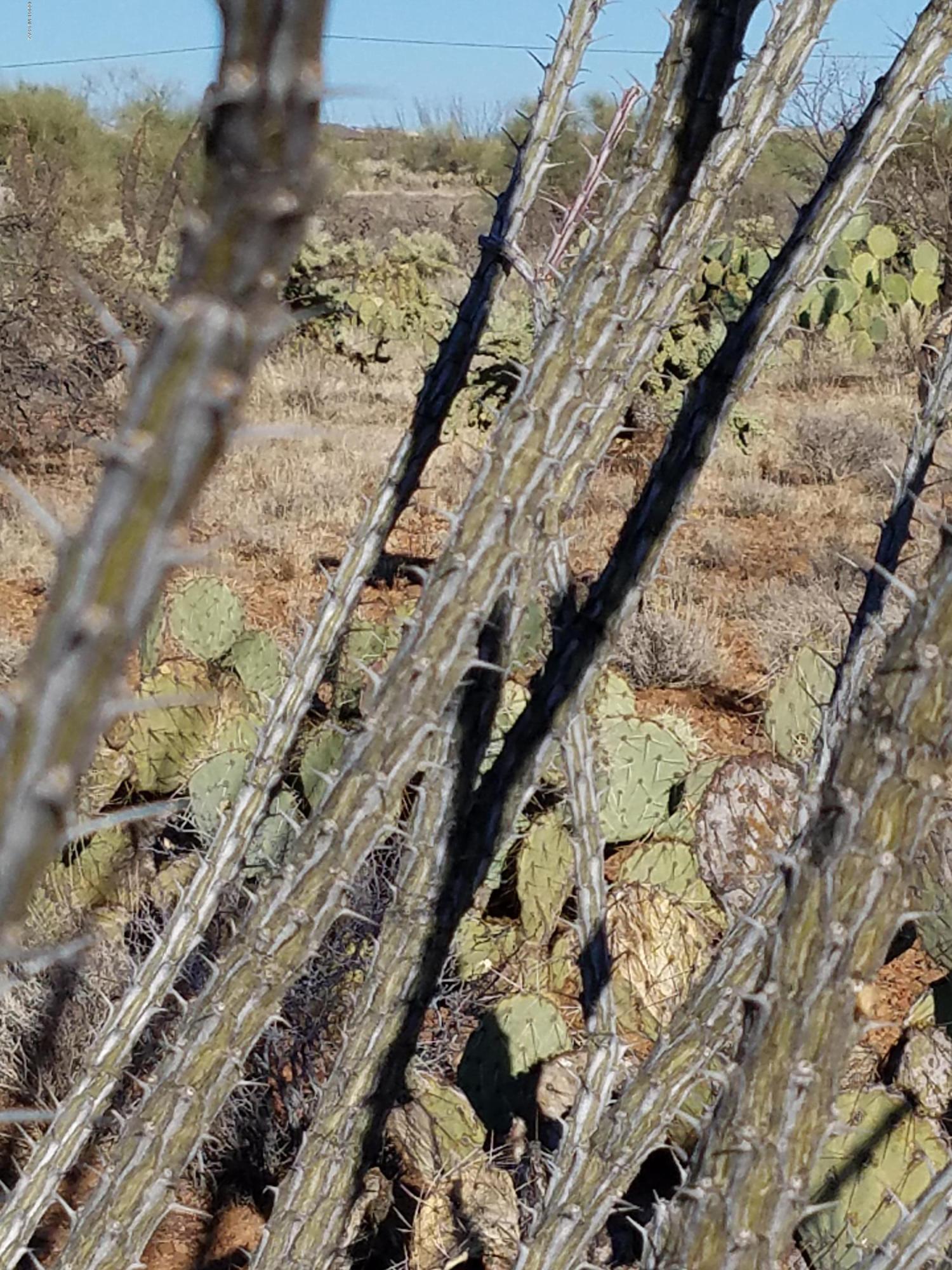 New Tucson Unit NO. 6 (1-75) - Land