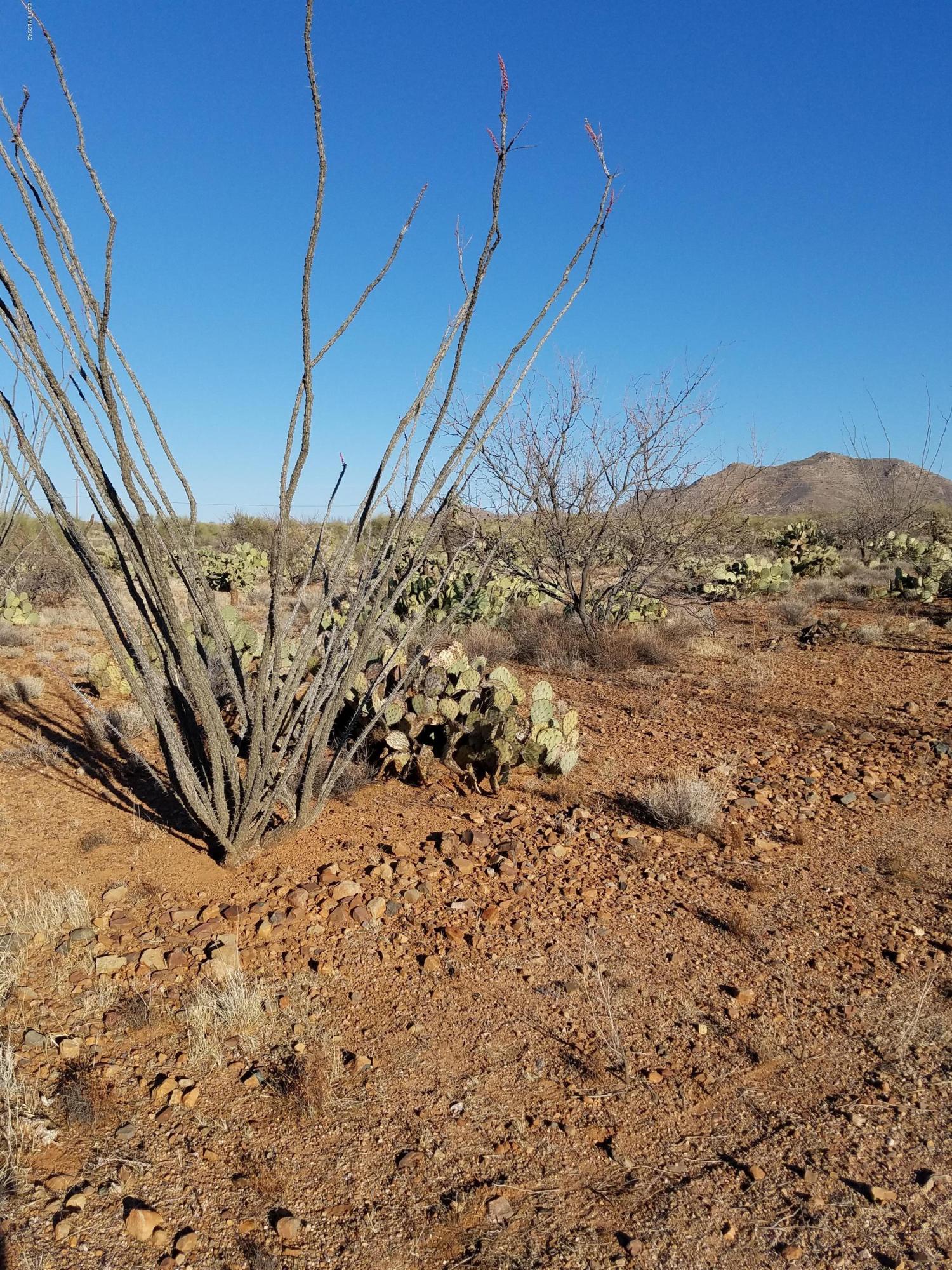 New Tucson Unit NO. 6 (1-75) - Land