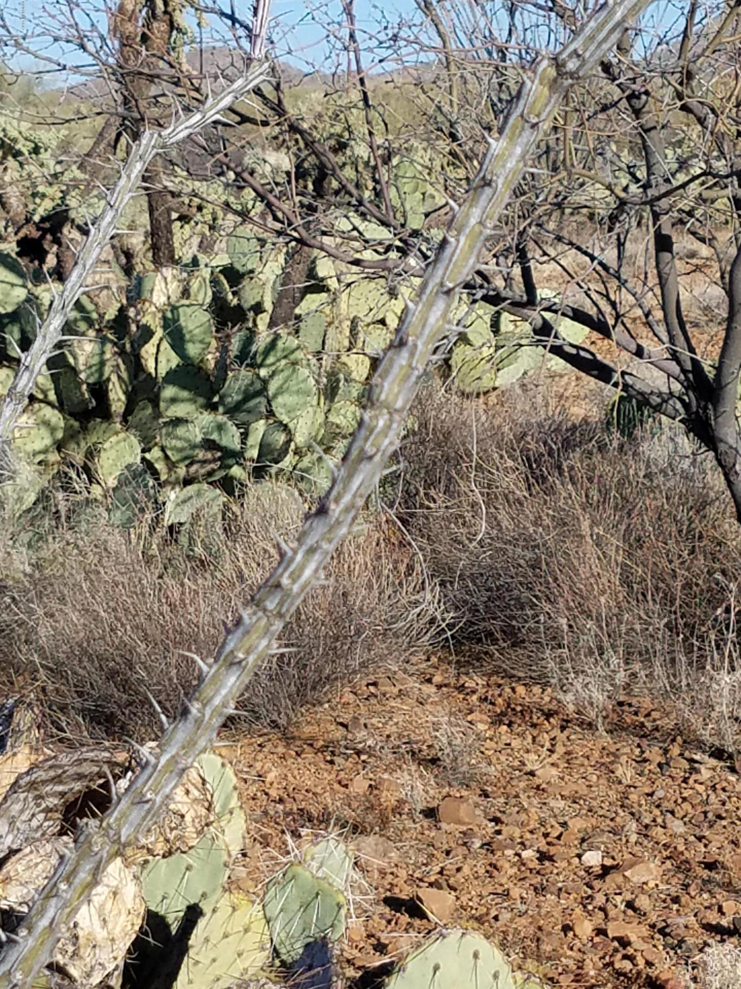 New Tucson Unit NO. 6 (1-75) - Land