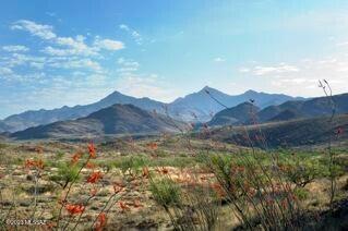 Morning Star Ranch - Land