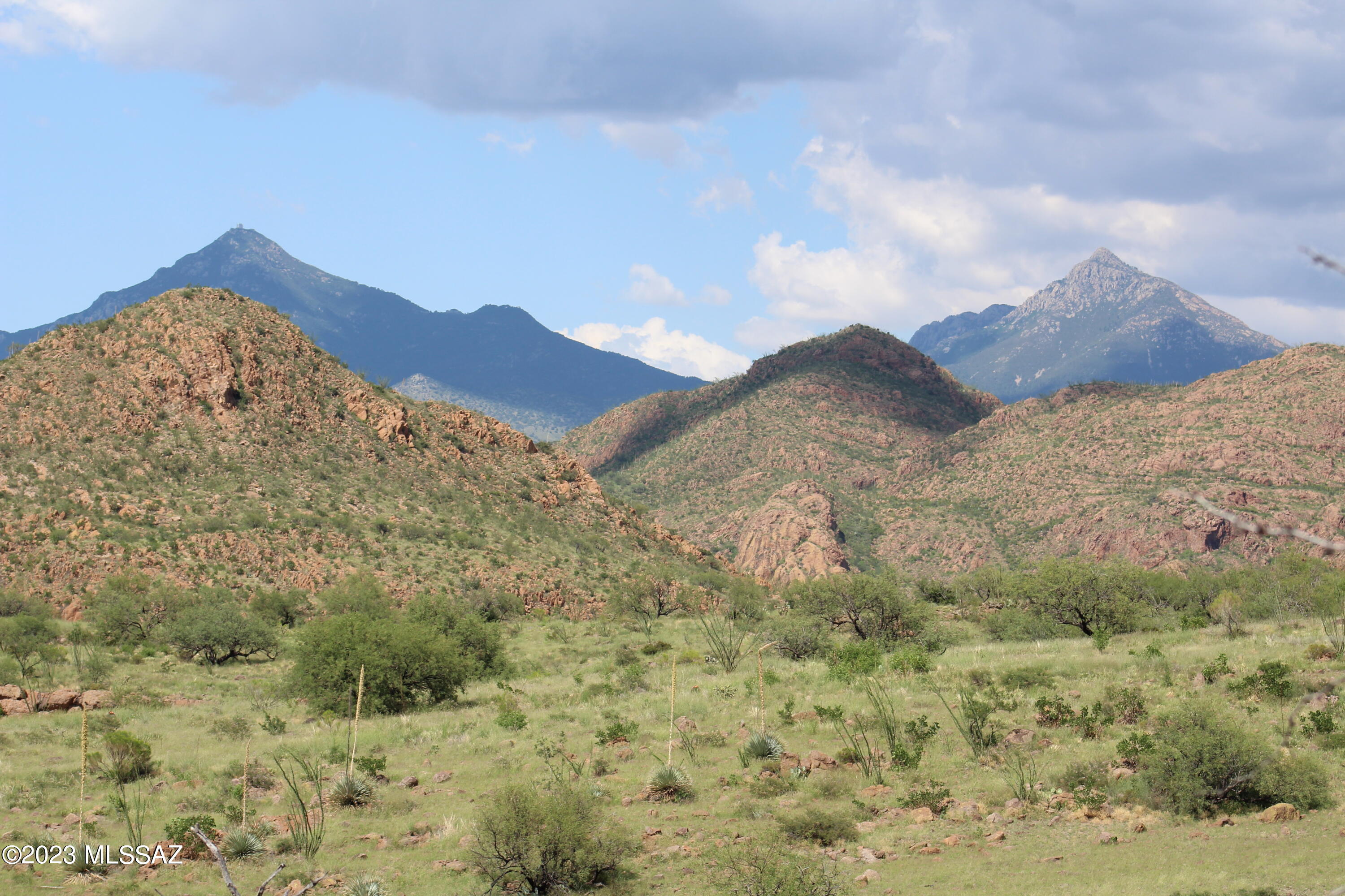 Morning Star Ranch - Land