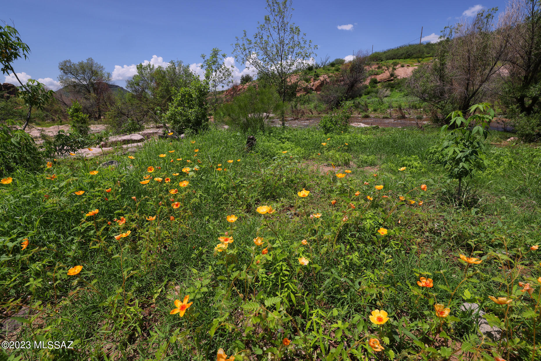 Morning Star Ranch - Land