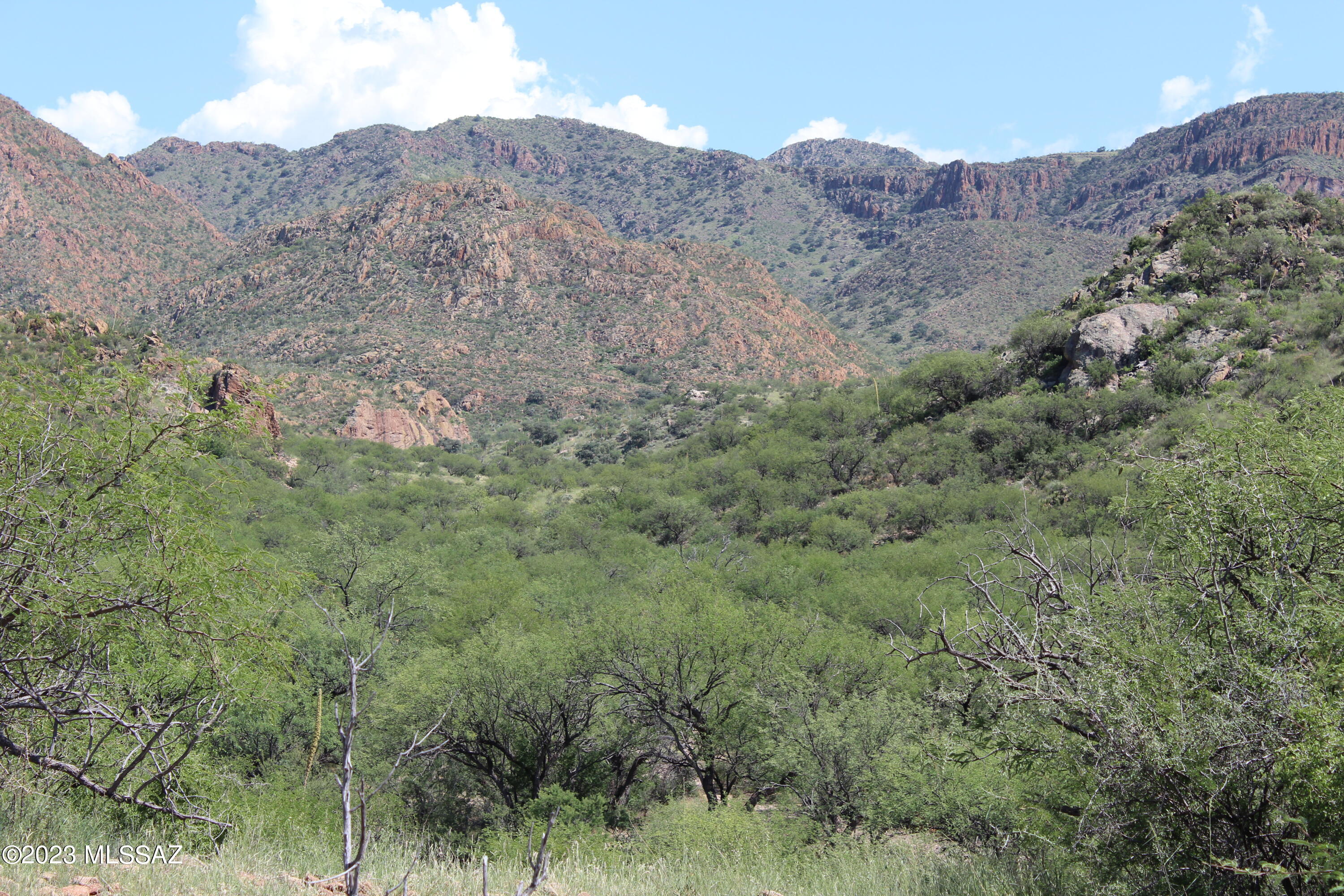 Morning Star Ranch - Land