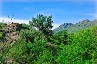 Morning Star Ranch - Land