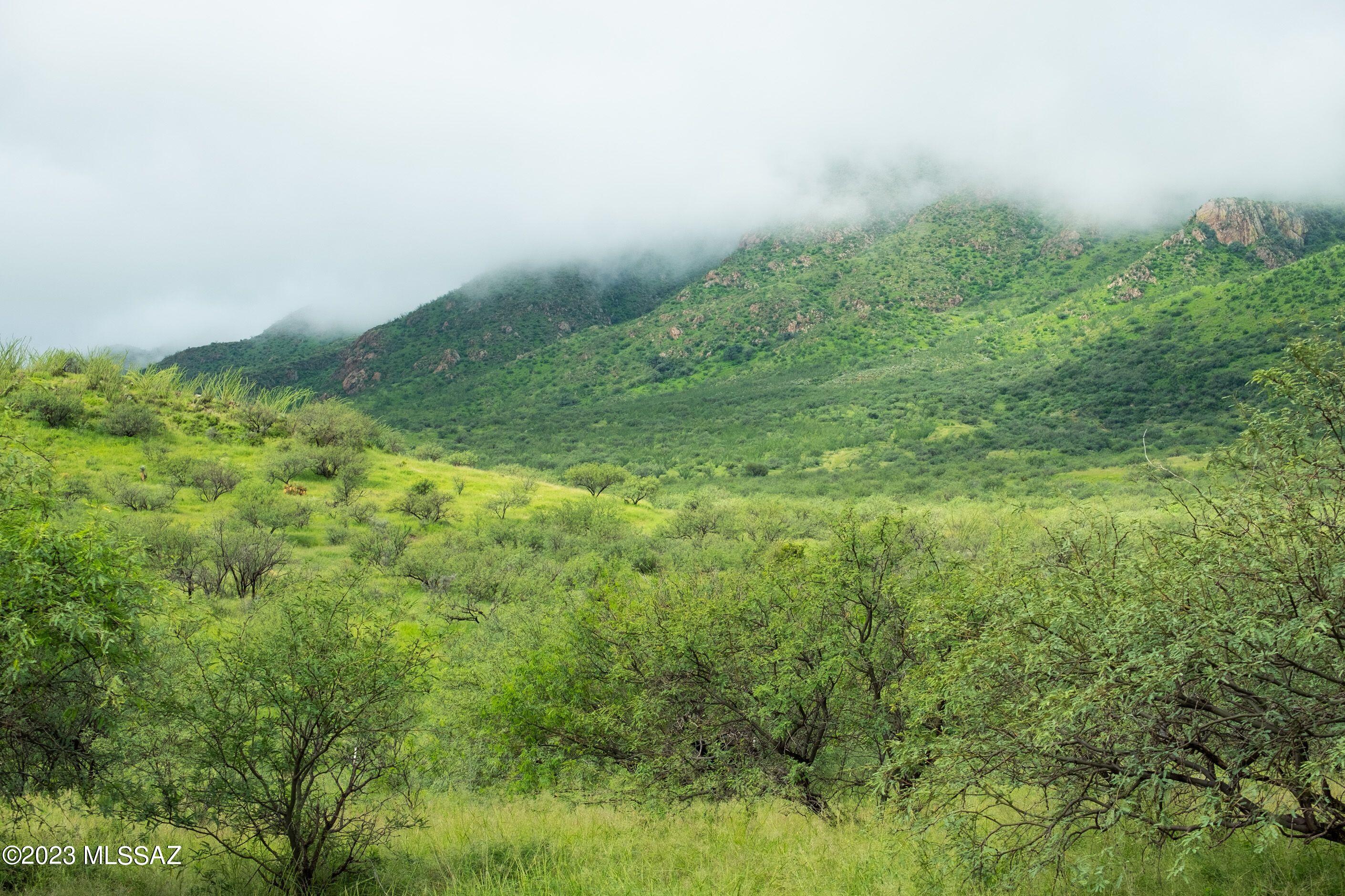 Morning Star Ranch - Land