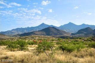 Morning Star Ranch - Land