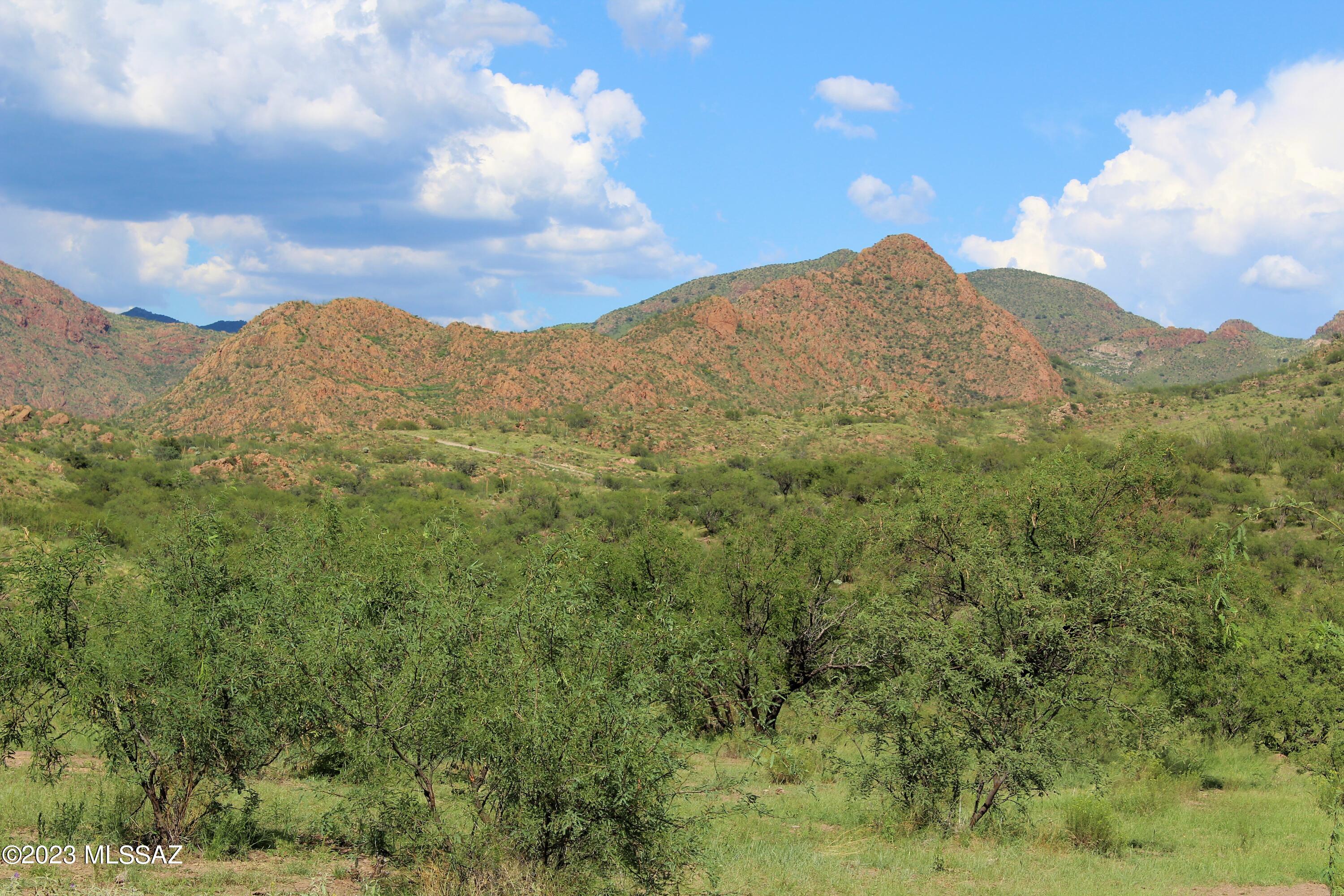Morning Star Ranch - Land