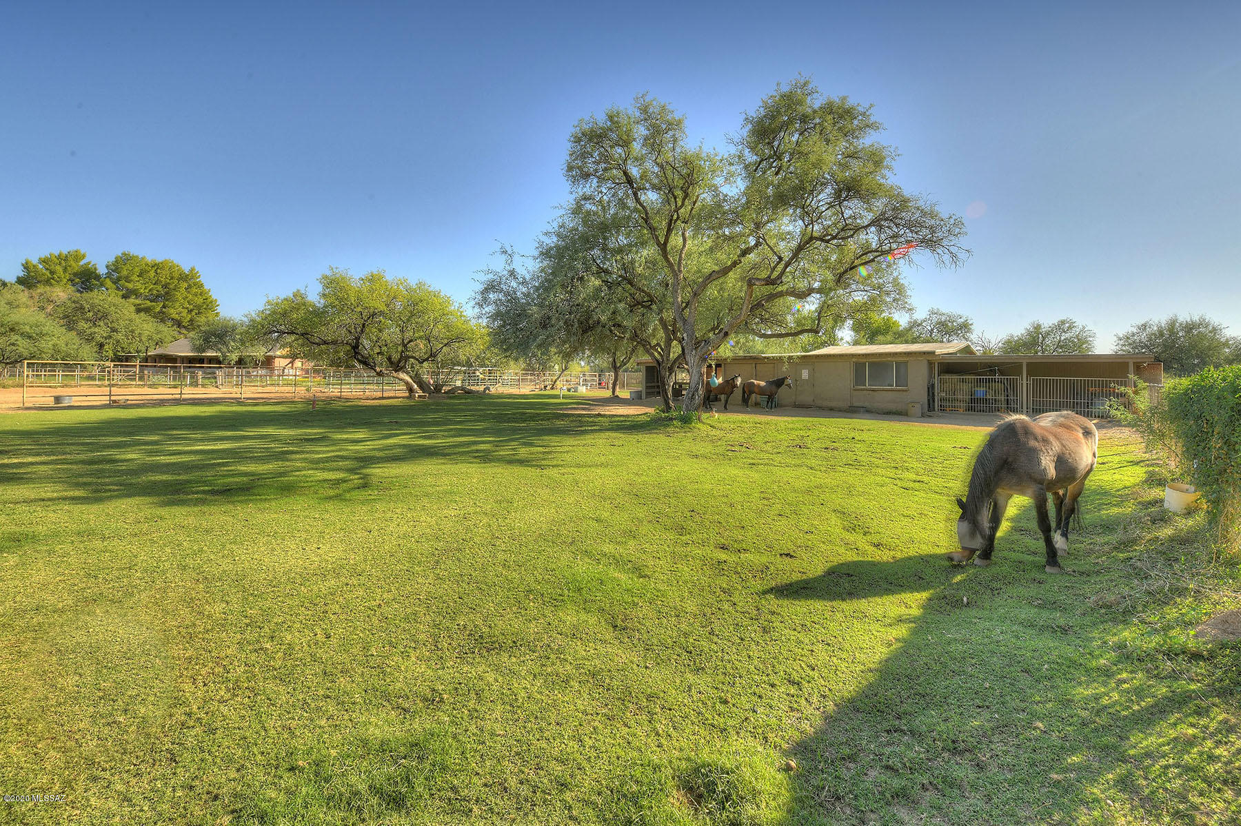 Tanque Verde Country Estates - Residential