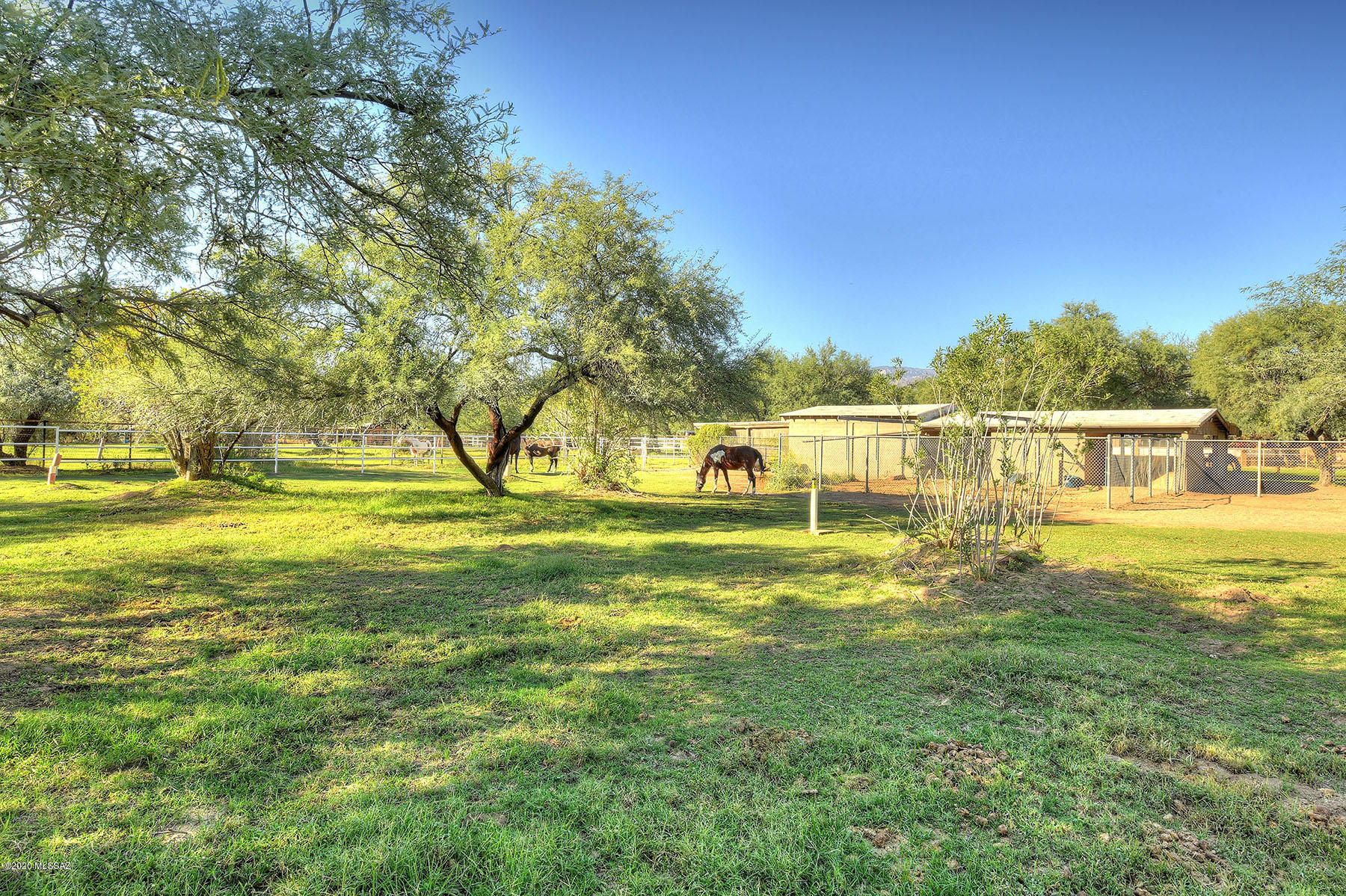 Tanque Verde Country Estates - Residential