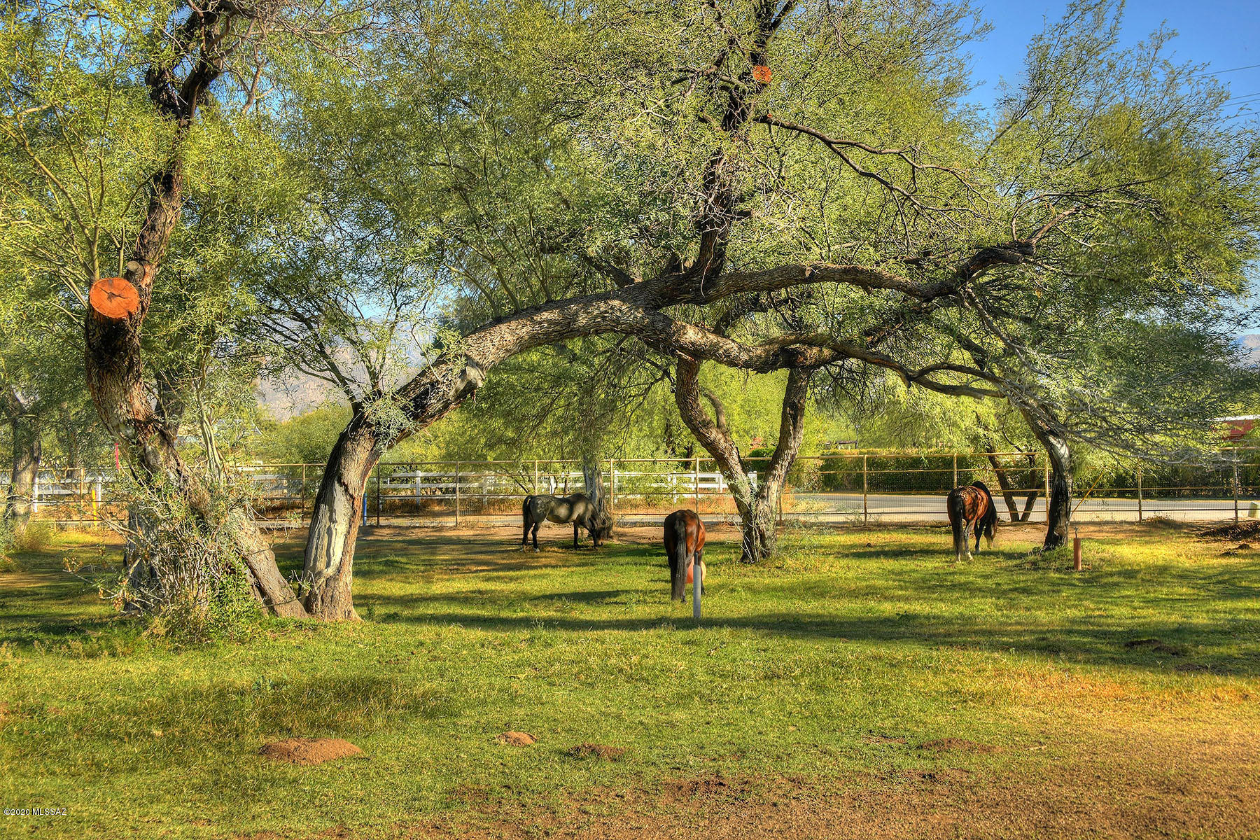 Tanque Verde Country Estates - Residential