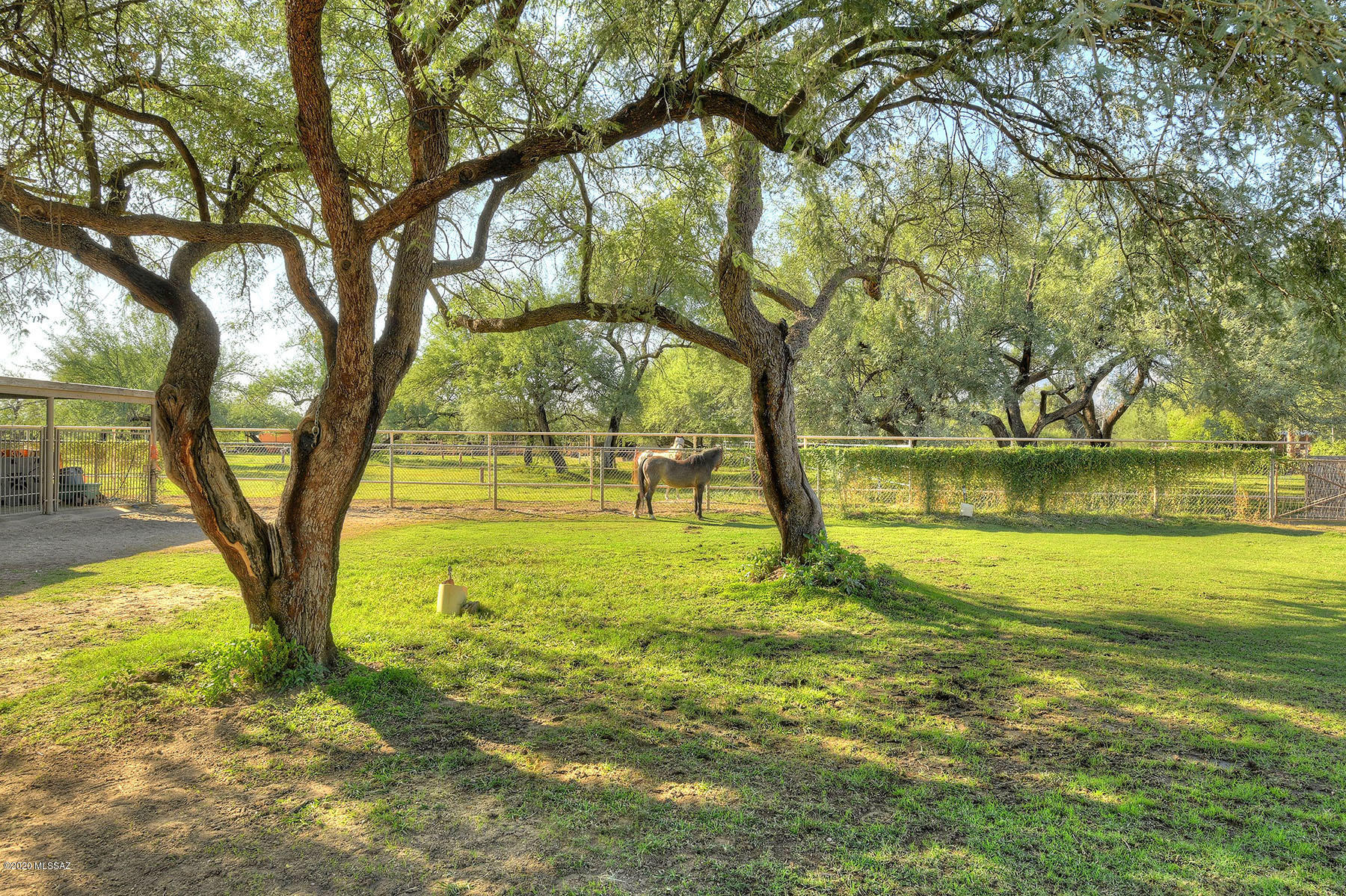 Tanque Verde Country Estates - Residential