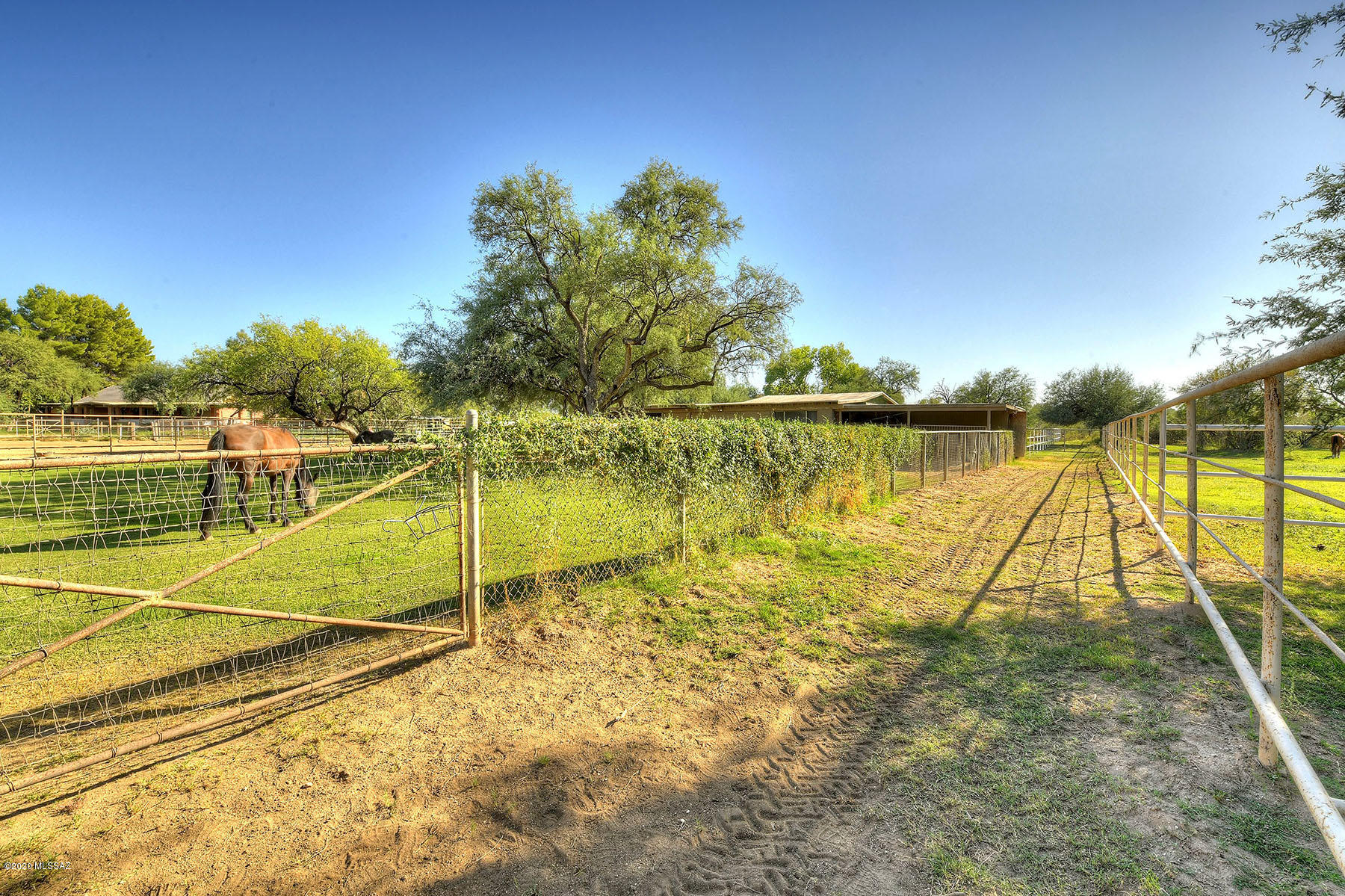 Tanque Verde Country Estates - Residential