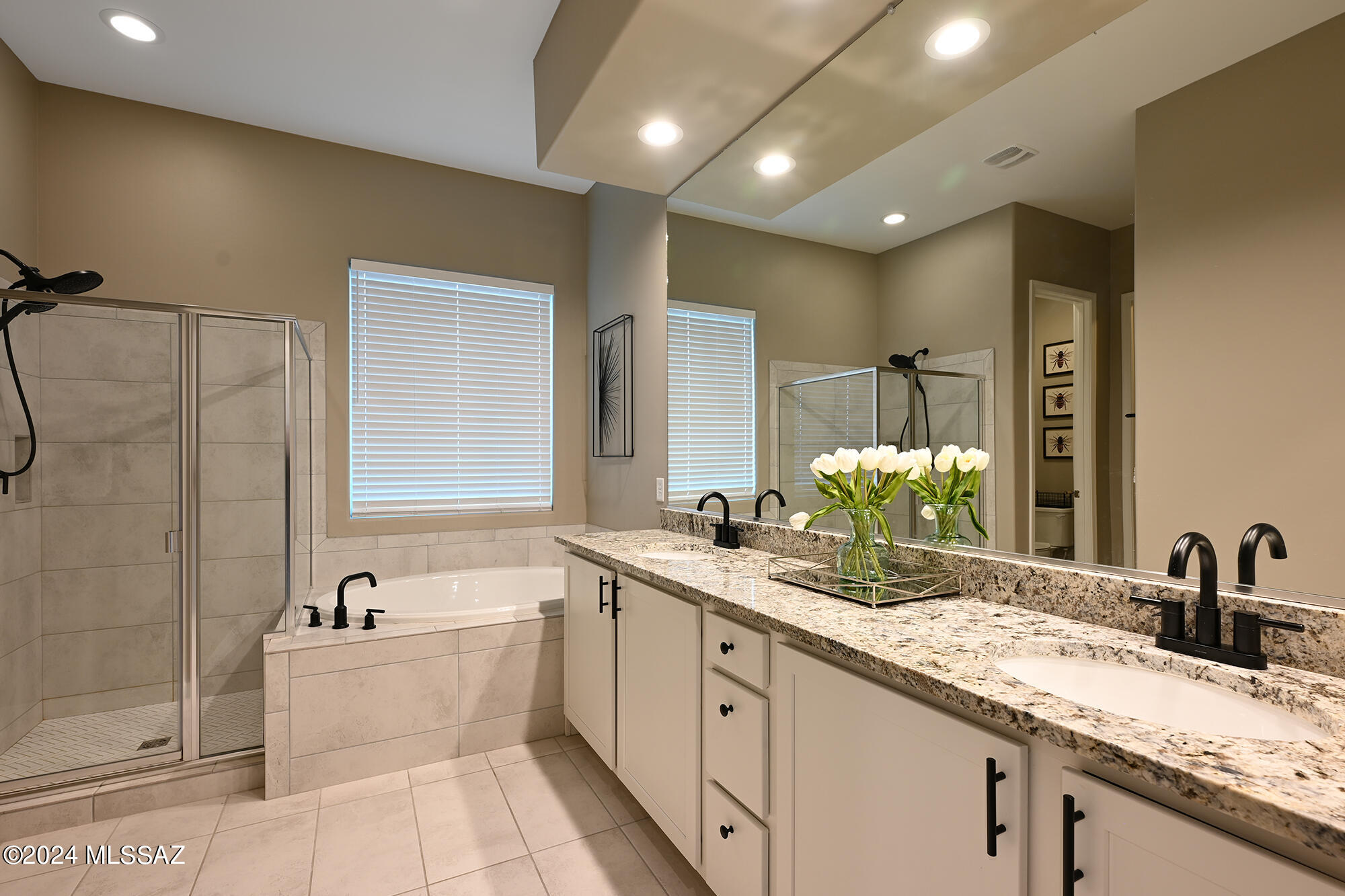Rancho Vistoso Valley Vista - Residential