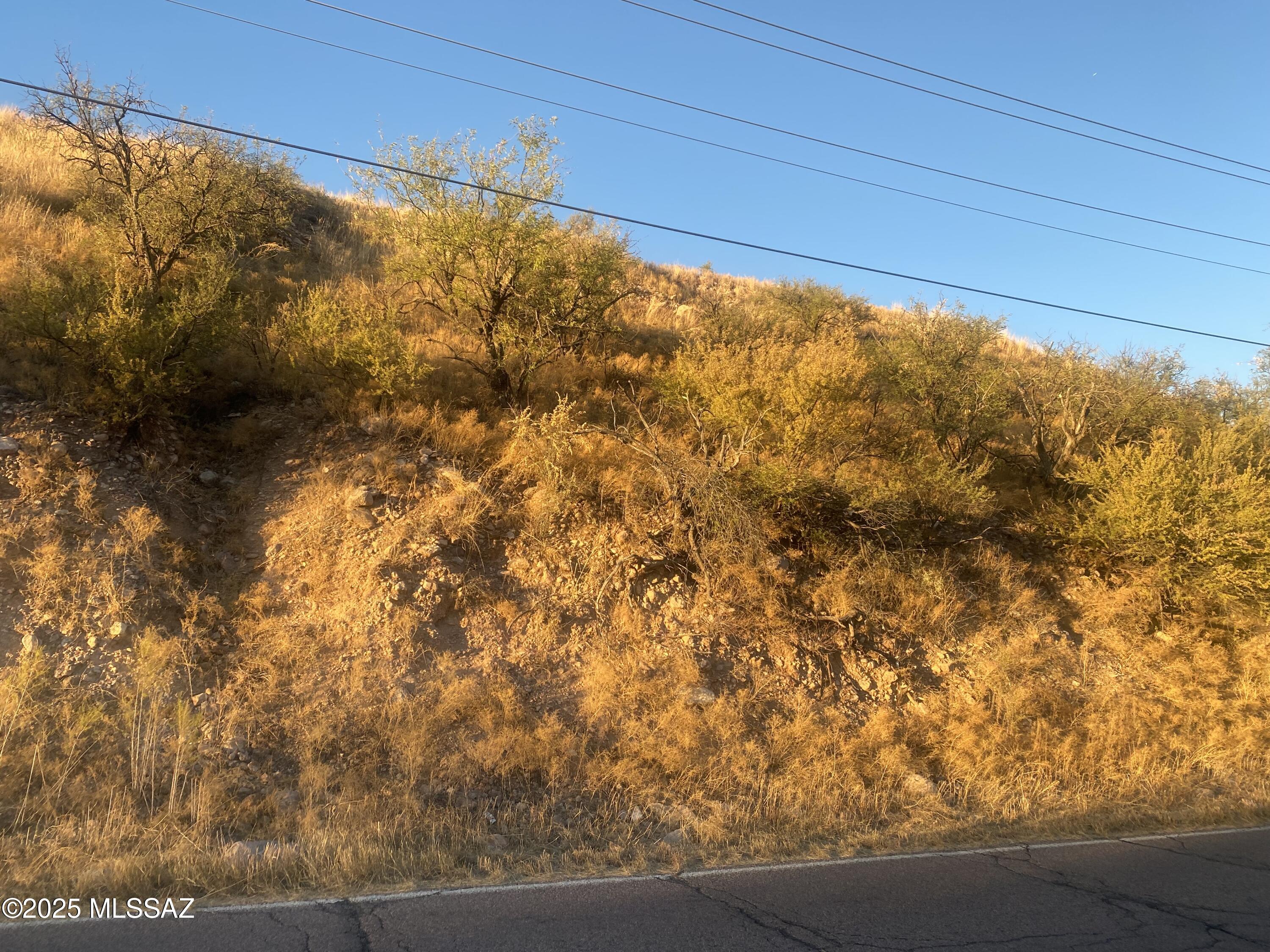 Rio Rico Ranchettes - Land