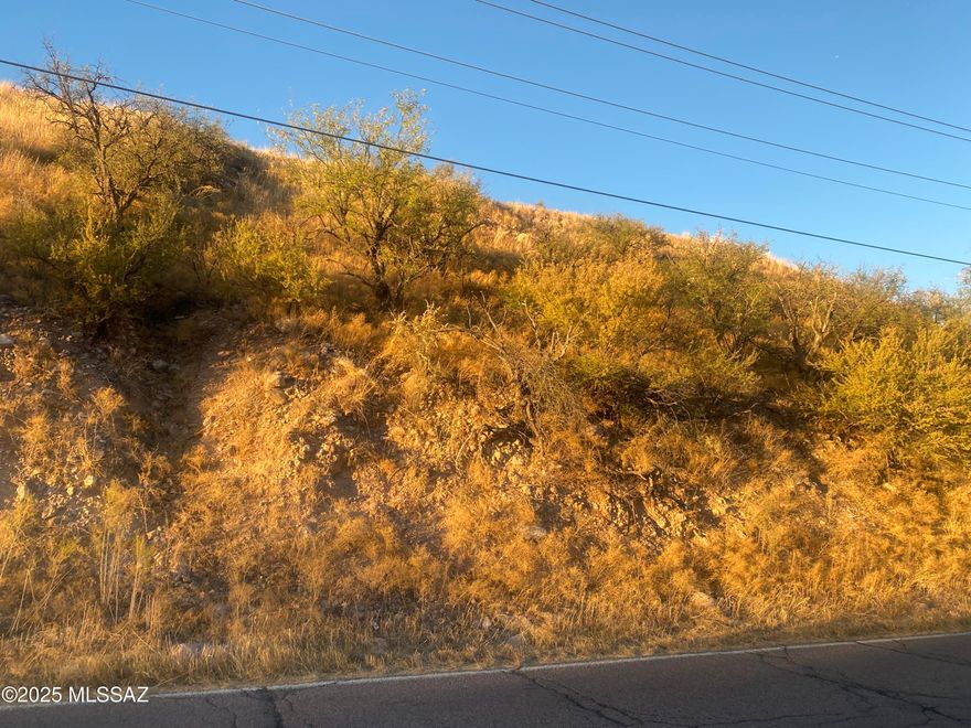 Great Location, across from HighSchool. Short distance to I-19, exit 22. Peck Cnyn Dr. At the T with Via Patricia. Across from the hig school. 2 lots, being sold together. Tax ID's are:116-11-179 & 116-11-182. Total is 1.88 the 2 lots. 604 Peck (1.07 acs) has 177ft frontage rectangular lot (177'x285'x 165'x297')with rear end up  on Alcanfor Ct. Flat & amazing views! adjacent lot 606 Peck CnynDr (0.81ac) has 172 ft frontage.(172'x229'x145'x285'). Together they are 1.88acres.