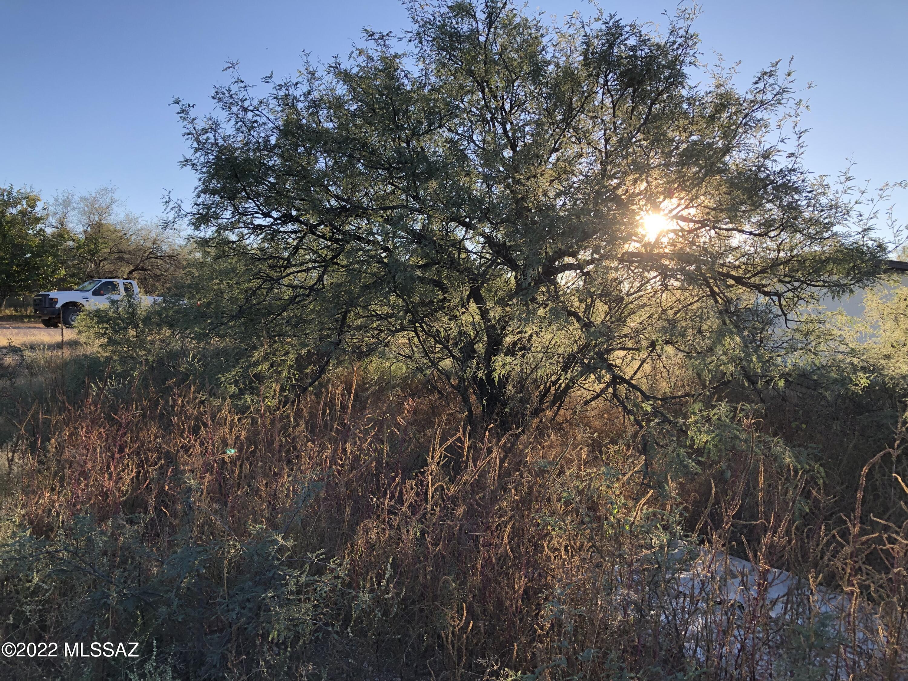 Mescal Lakes - Land