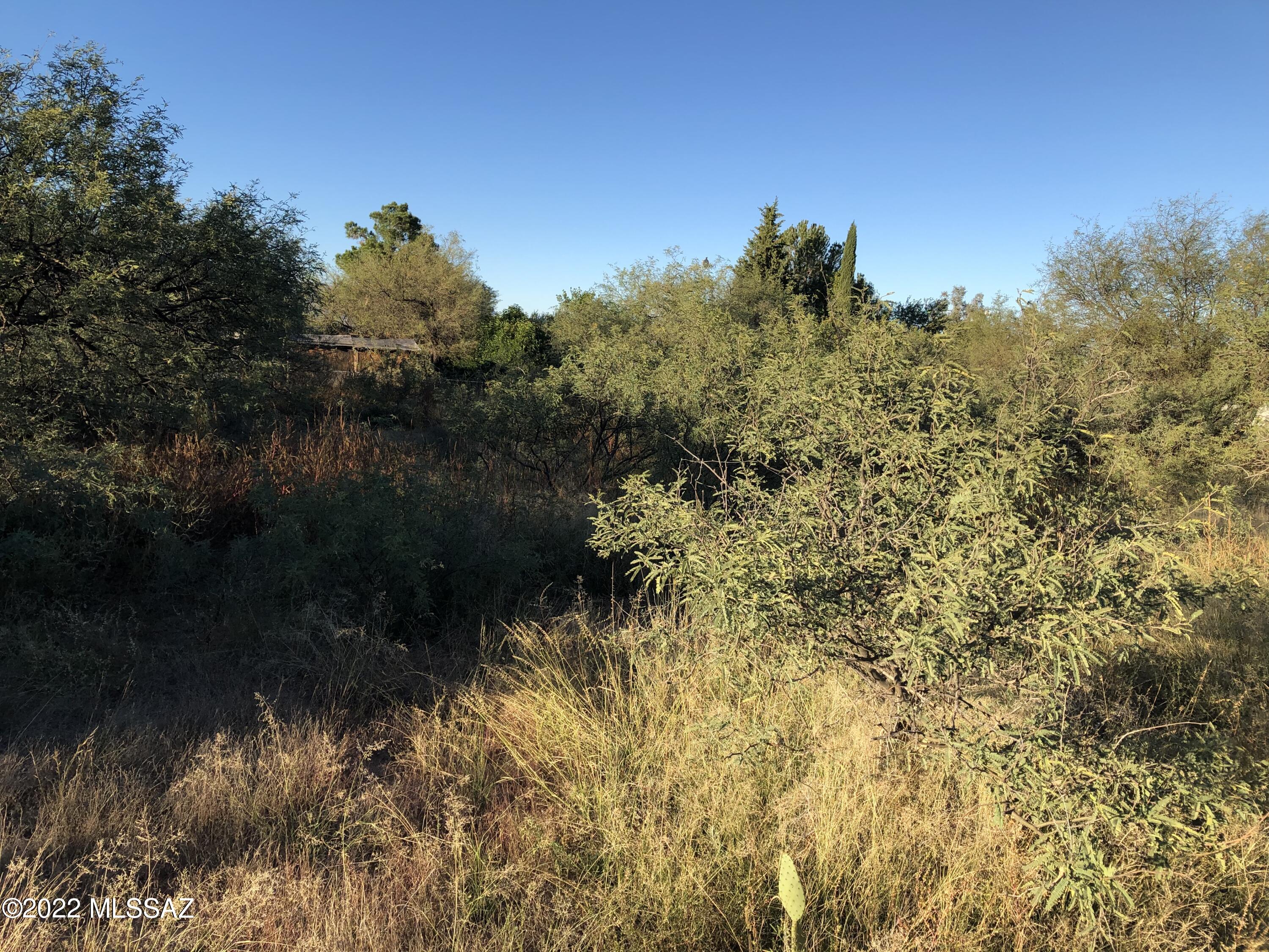 Mescal Lakes - Land