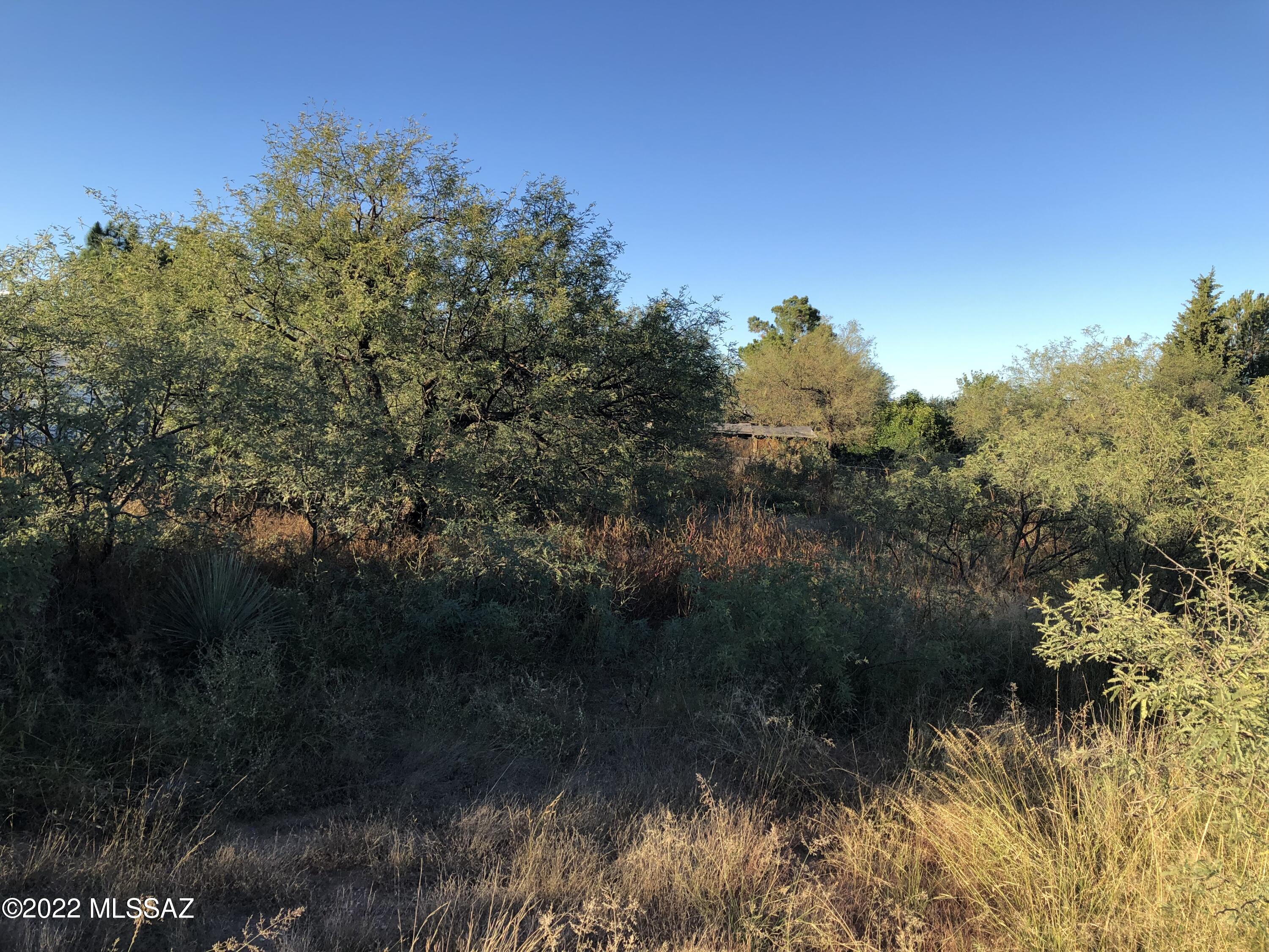 Mescal Lakes - Land