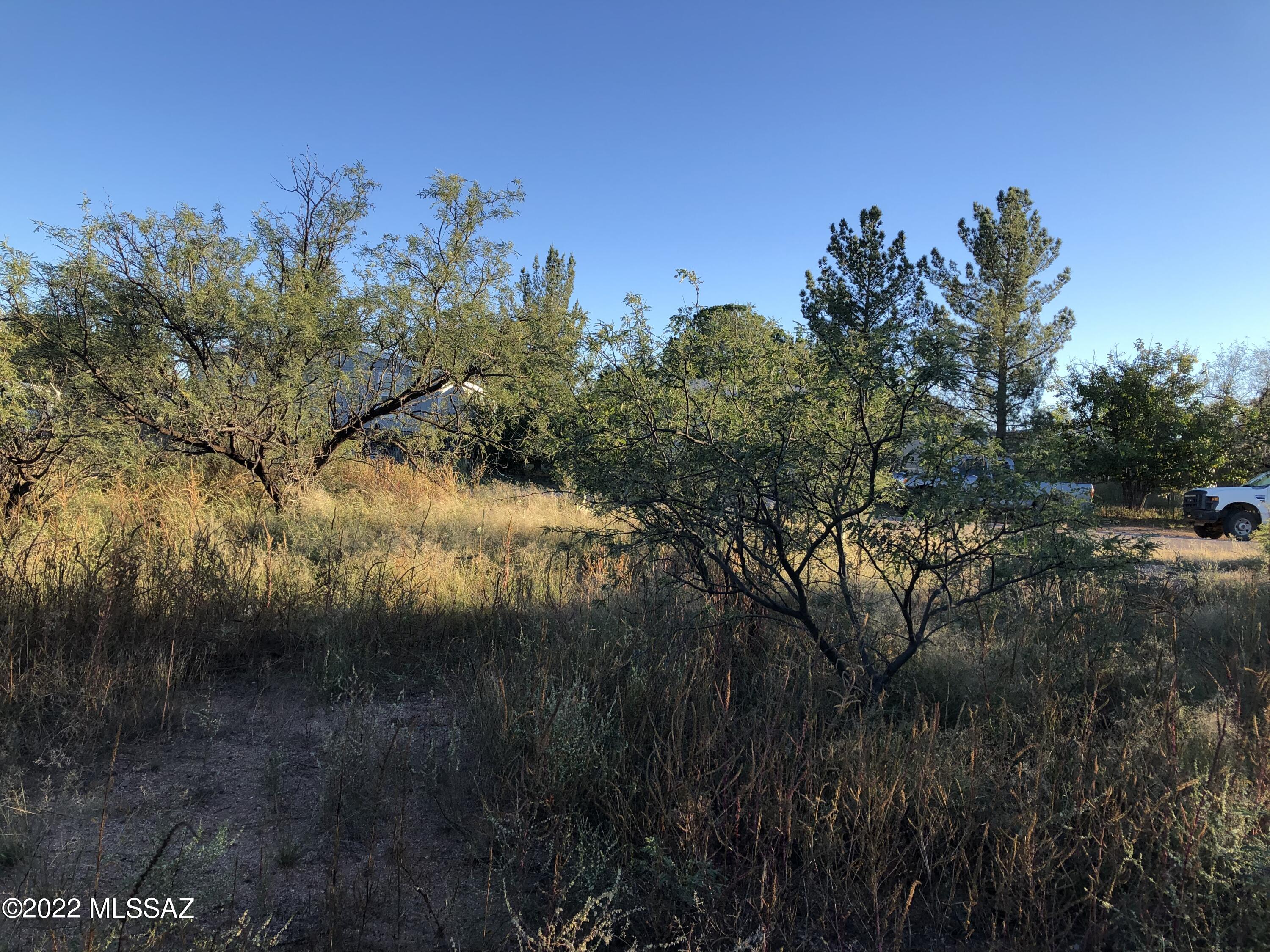 Mescal Lakes - Land