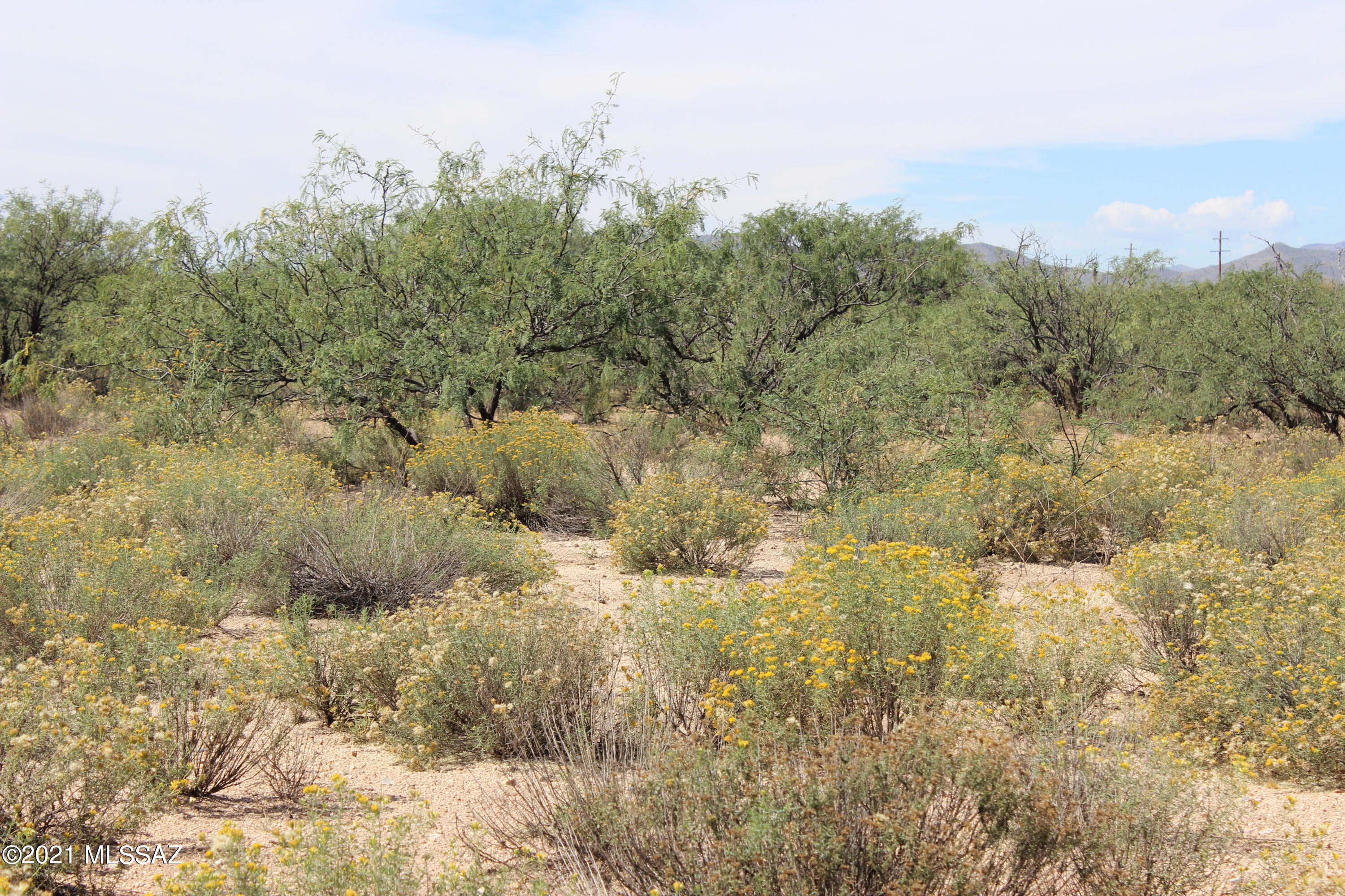 Arizona Sun Sites - Land