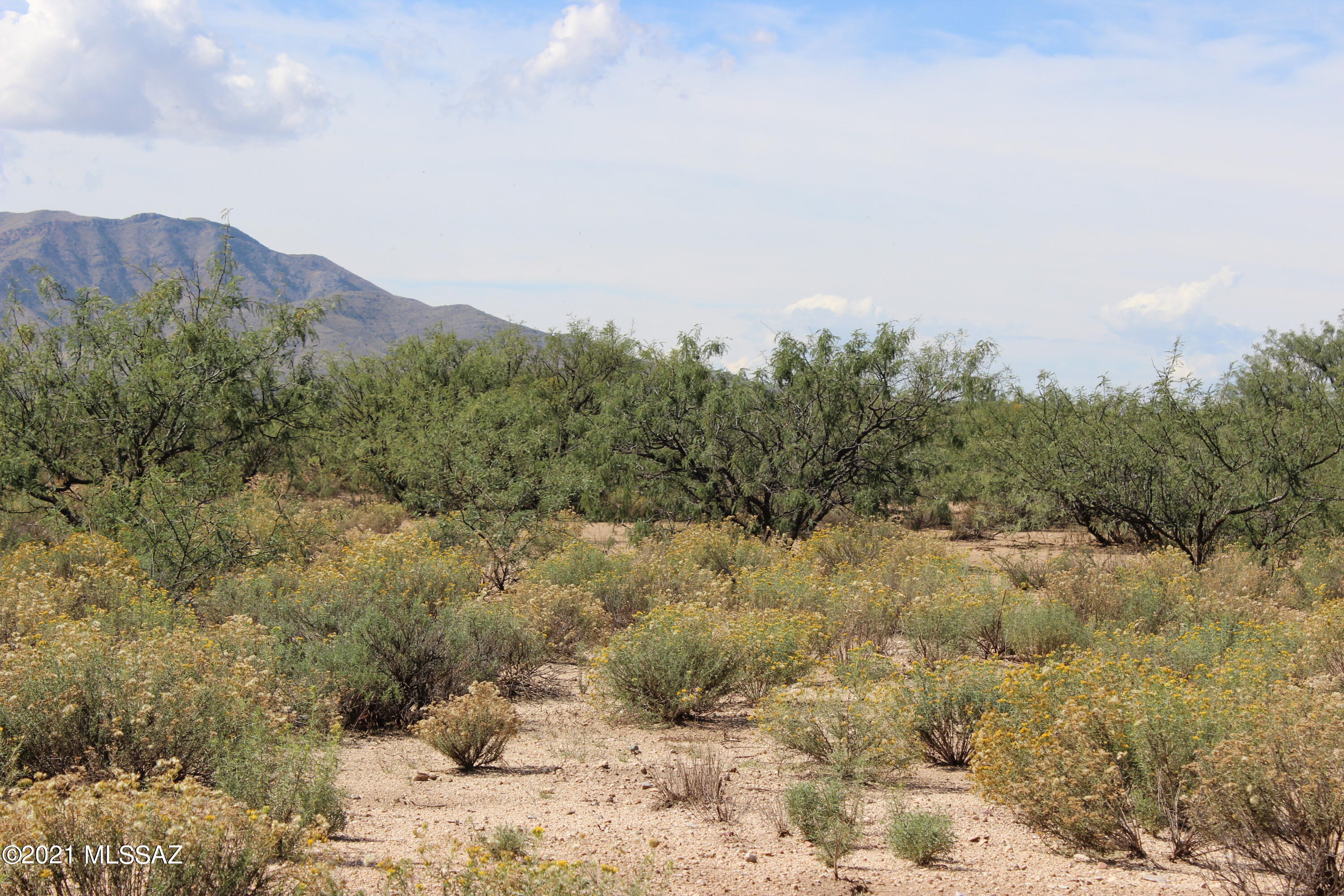 Arizona Sun Sites - Land