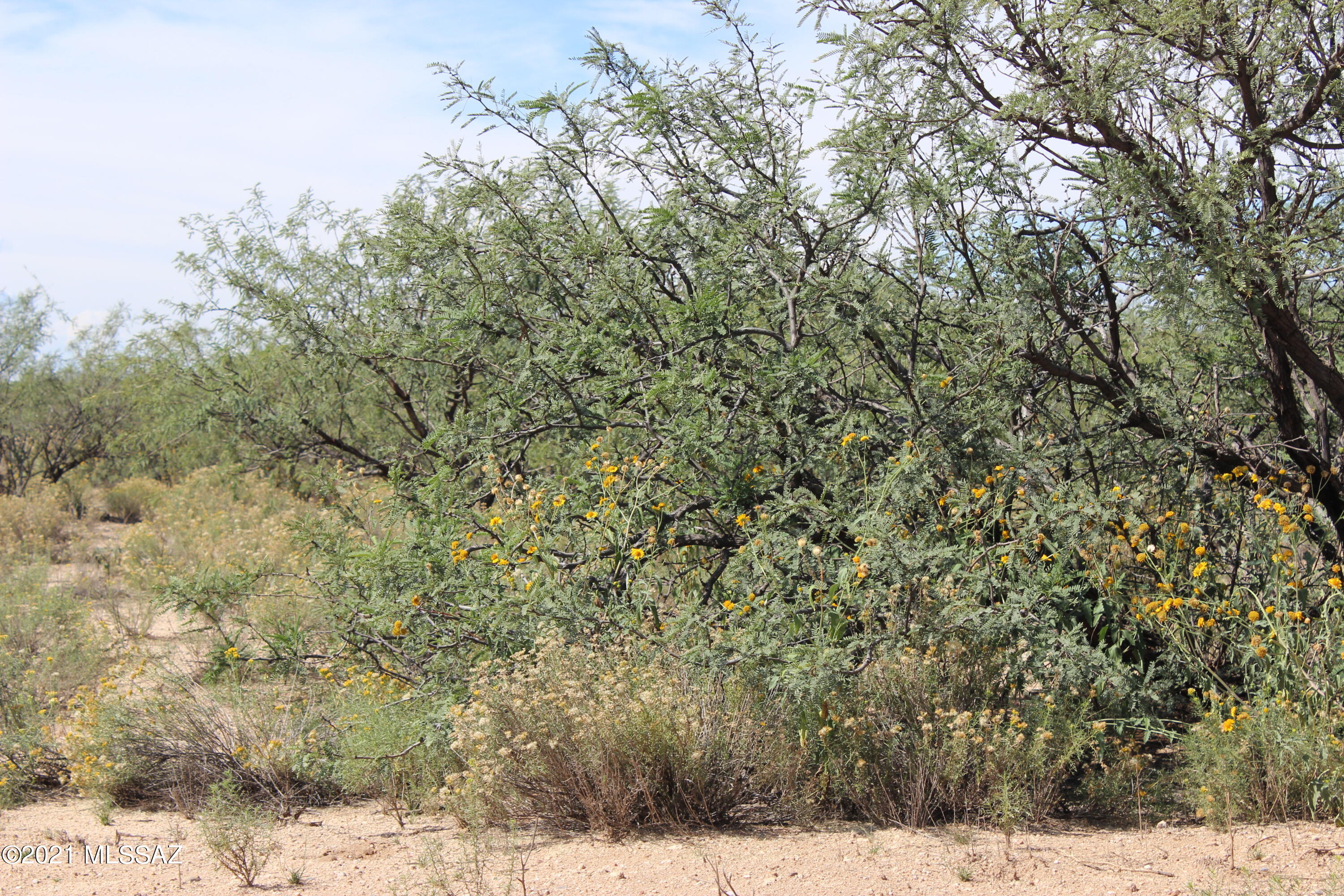 Arizona Sun Sites - Land