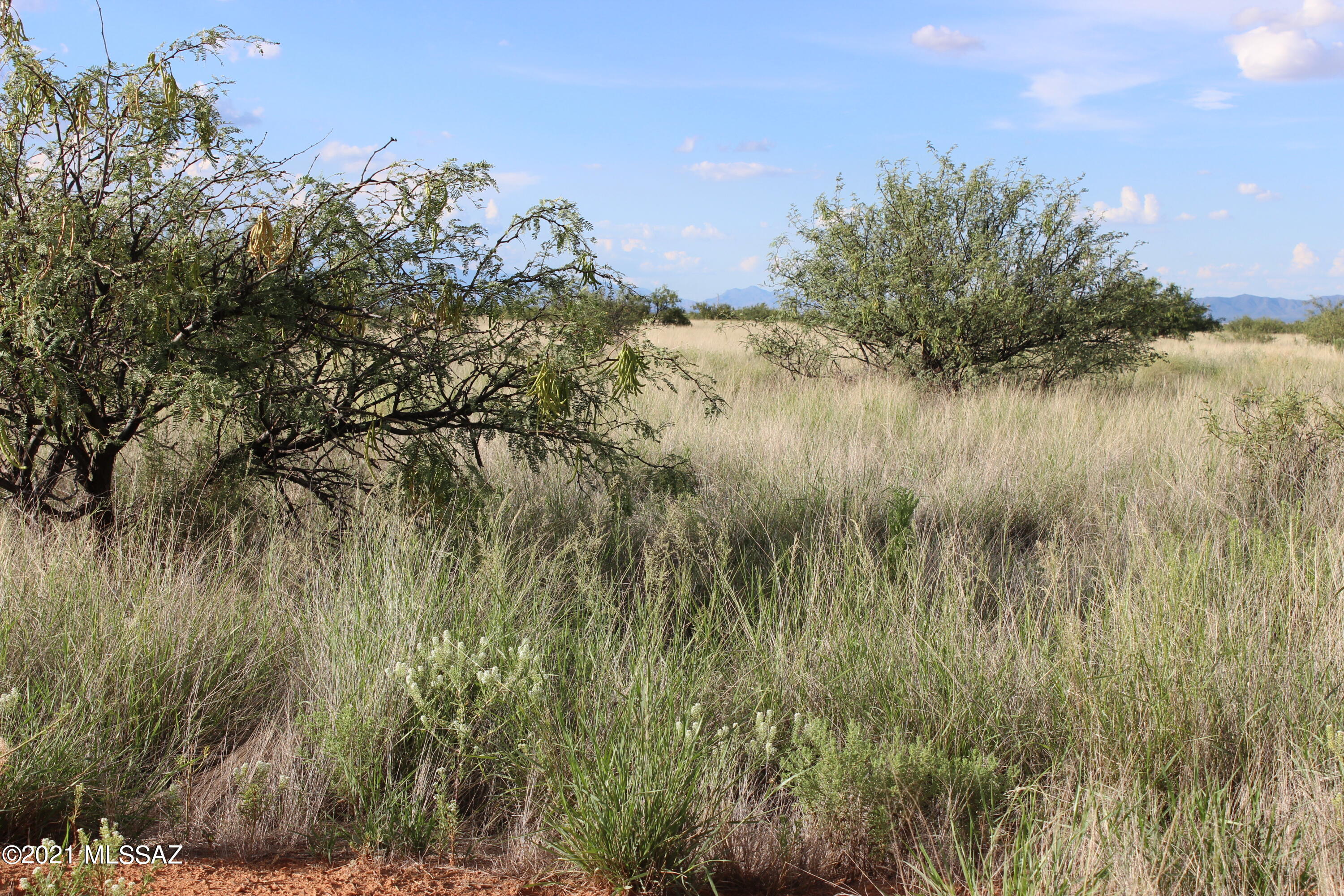 Arizona Sun Sites - Land