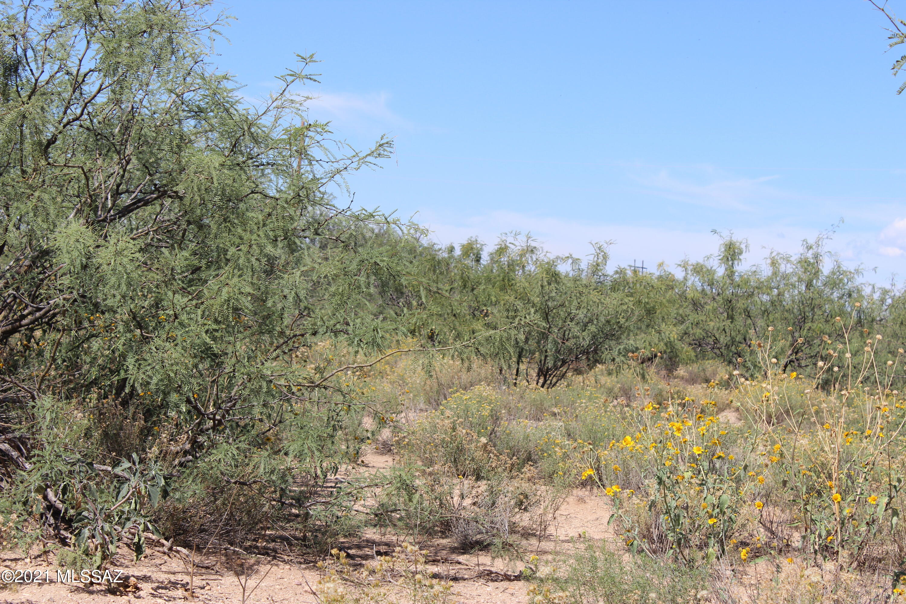 Arizona Sun Sites - Land