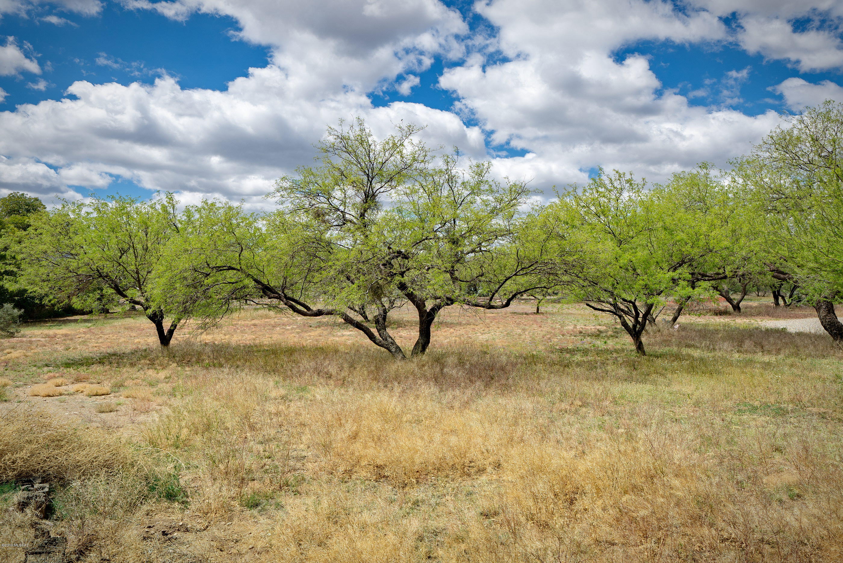 Tubac Valley Country Club Estates - Residential