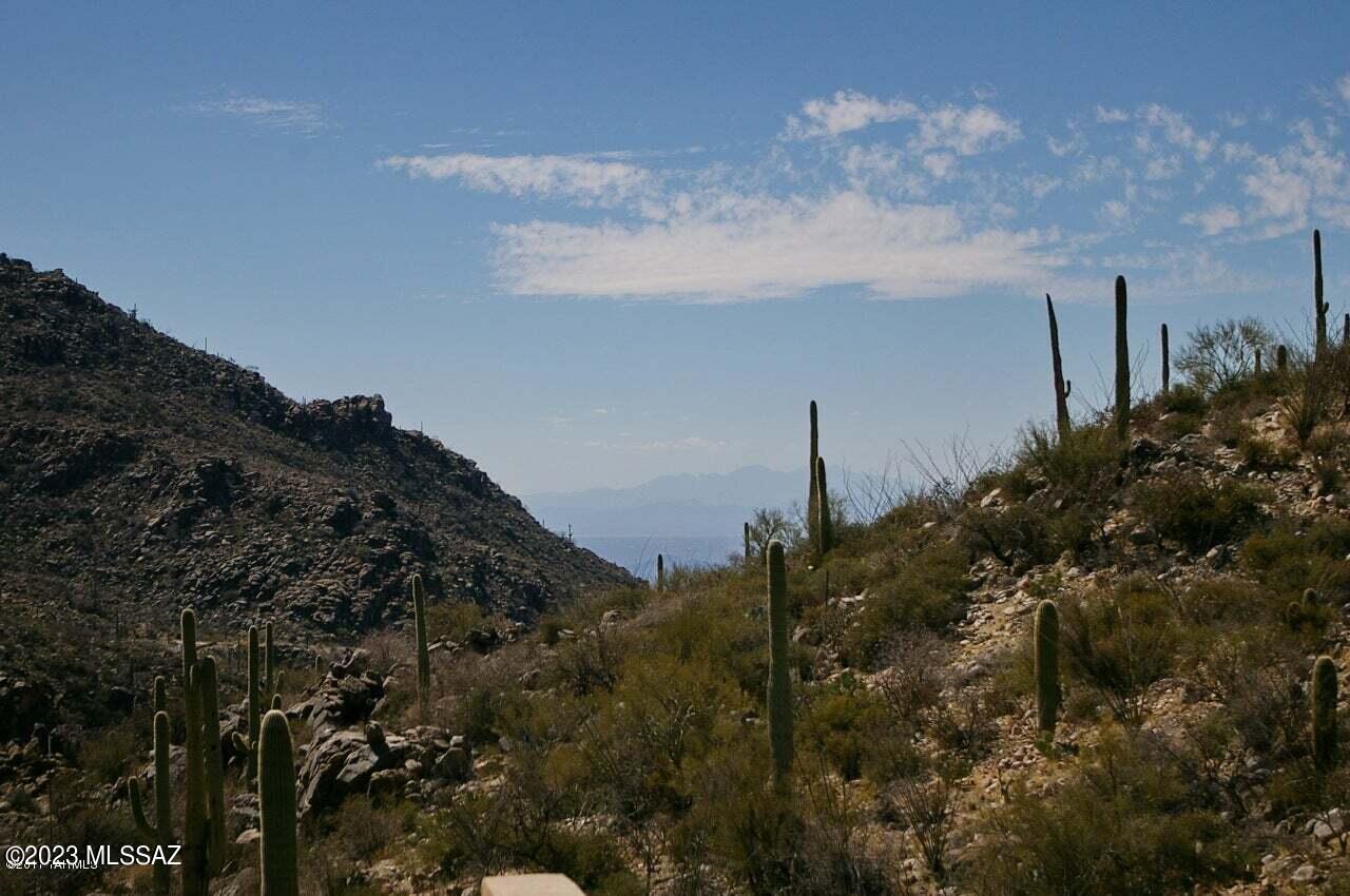 Canyon Pass At Dove Mountain - Residential