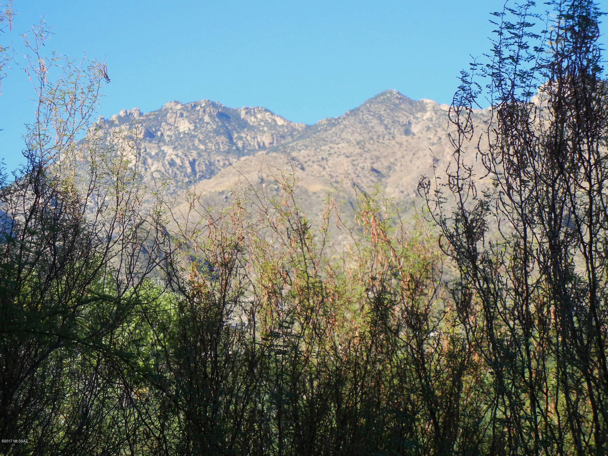 Greens at Ventana Canyon - Residential