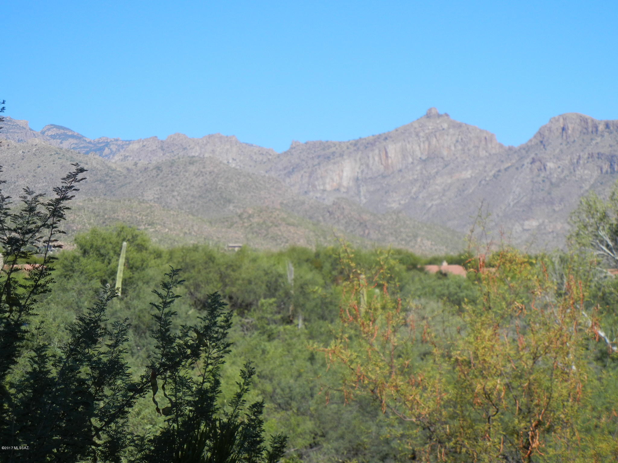Greens at Ventana Canyon - Residential