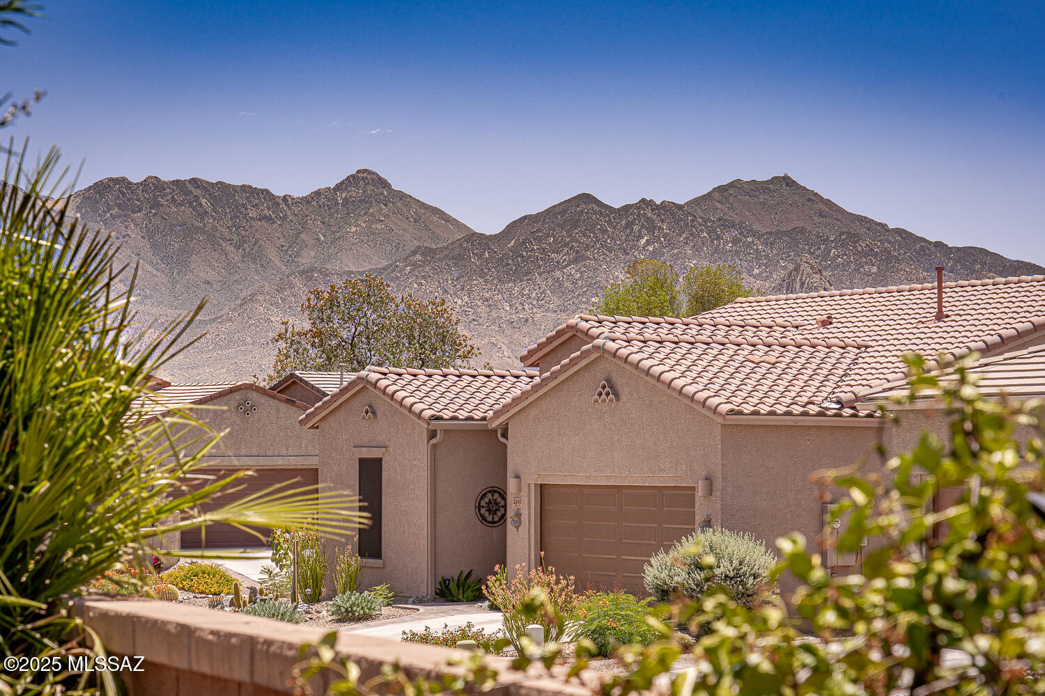 2499 W Bassett Peak Drive