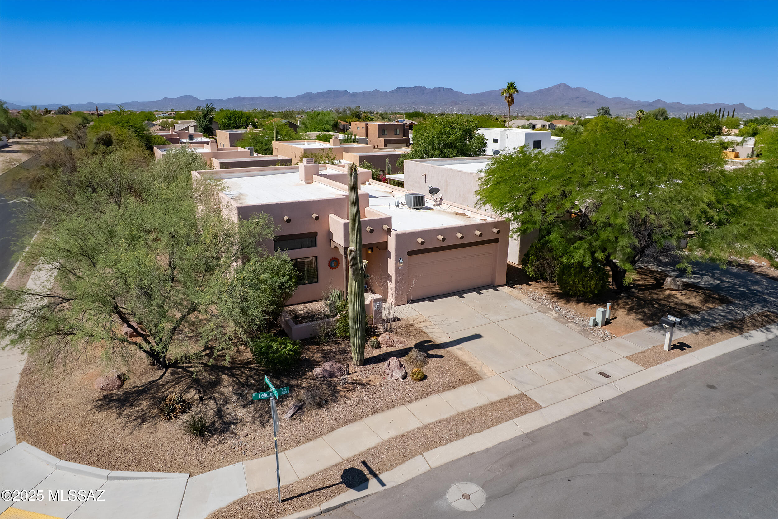 3143 W Feliciano Way