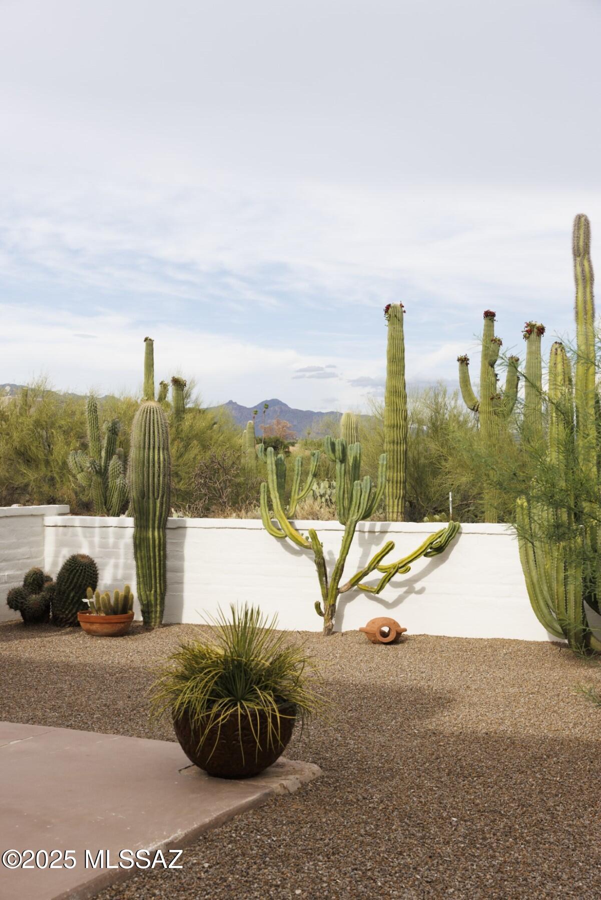 Catalina Foothills Estates - Residential