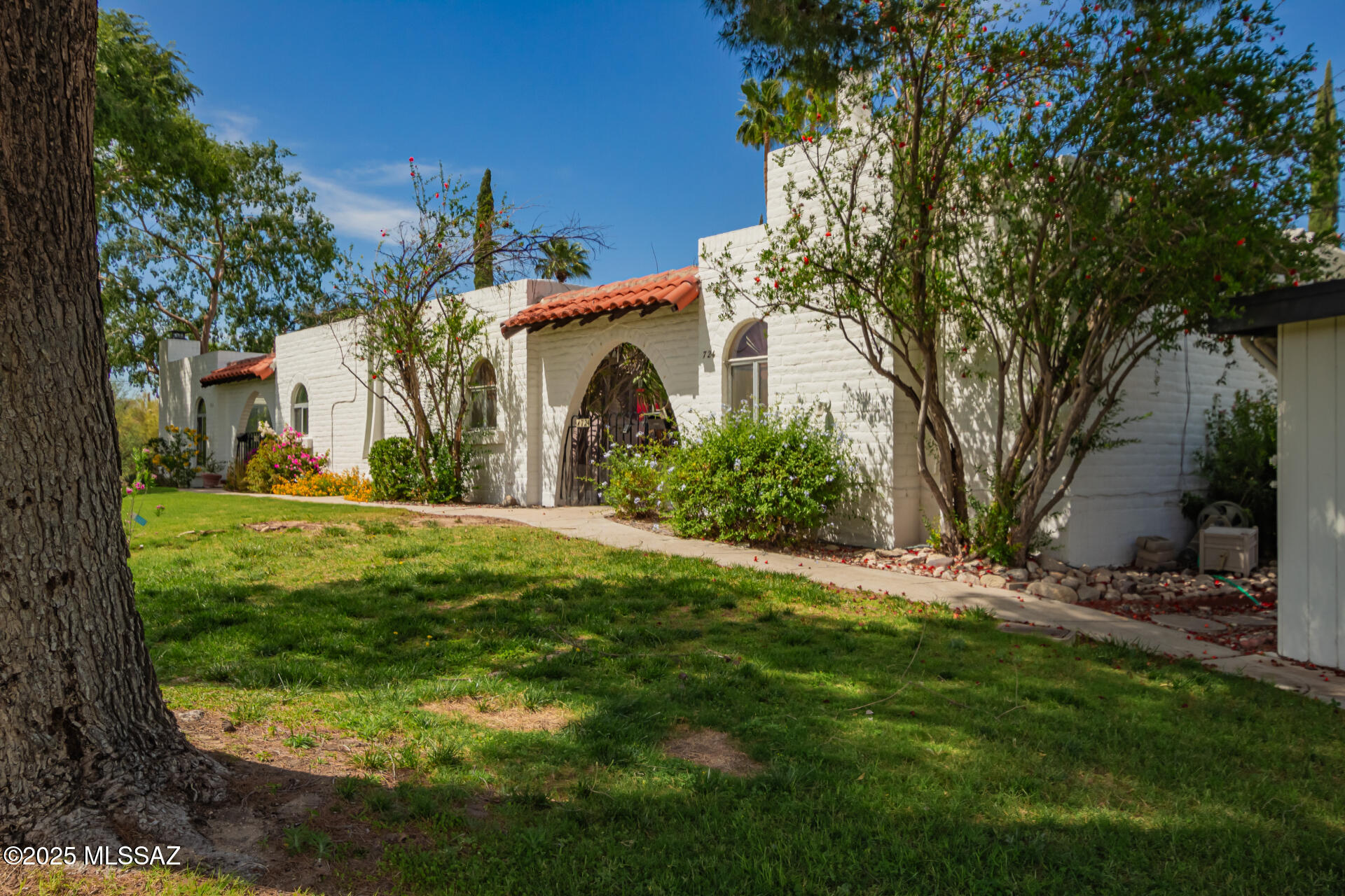 724 W Roller Coaster Road