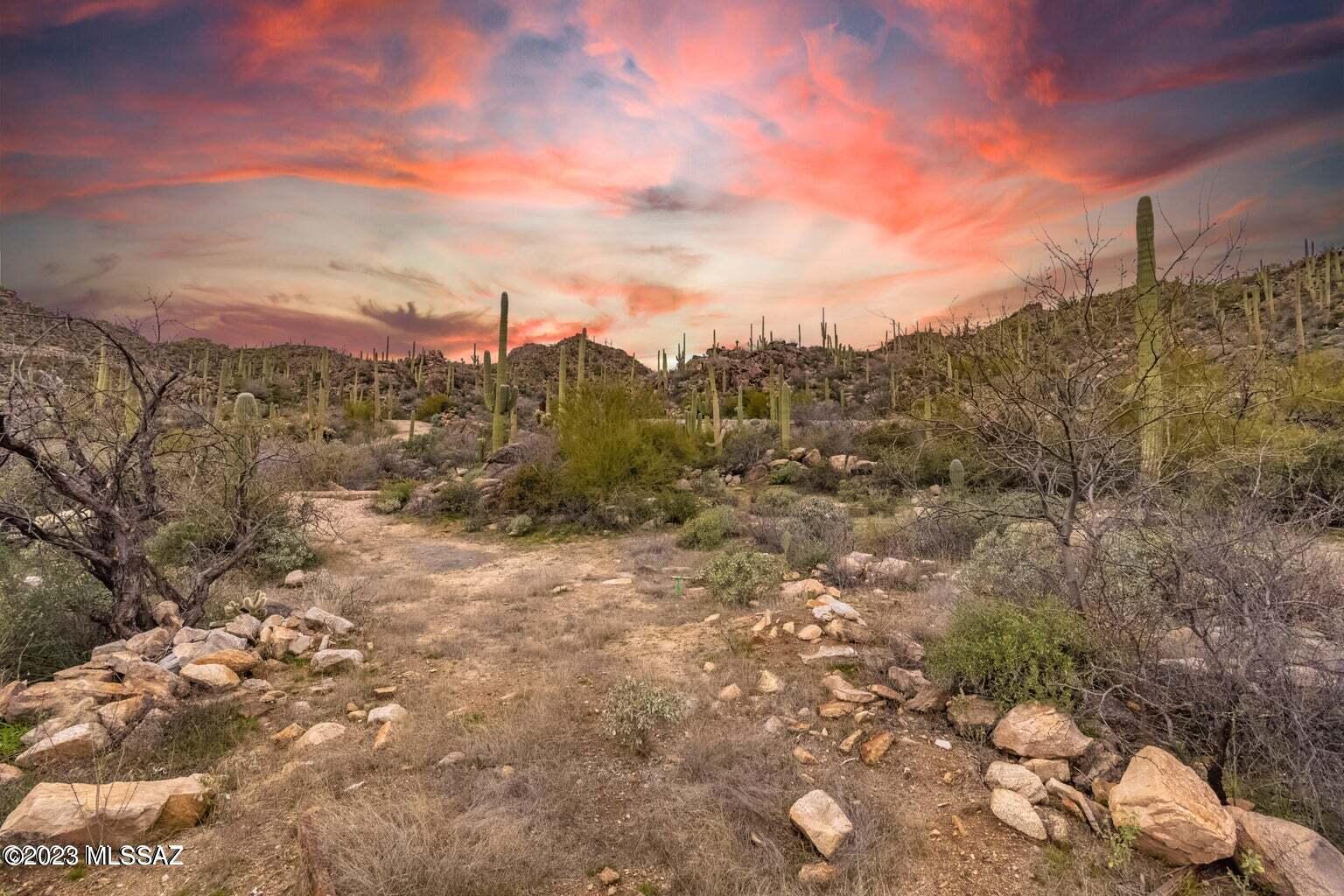 View Marana, AZ 85658 property