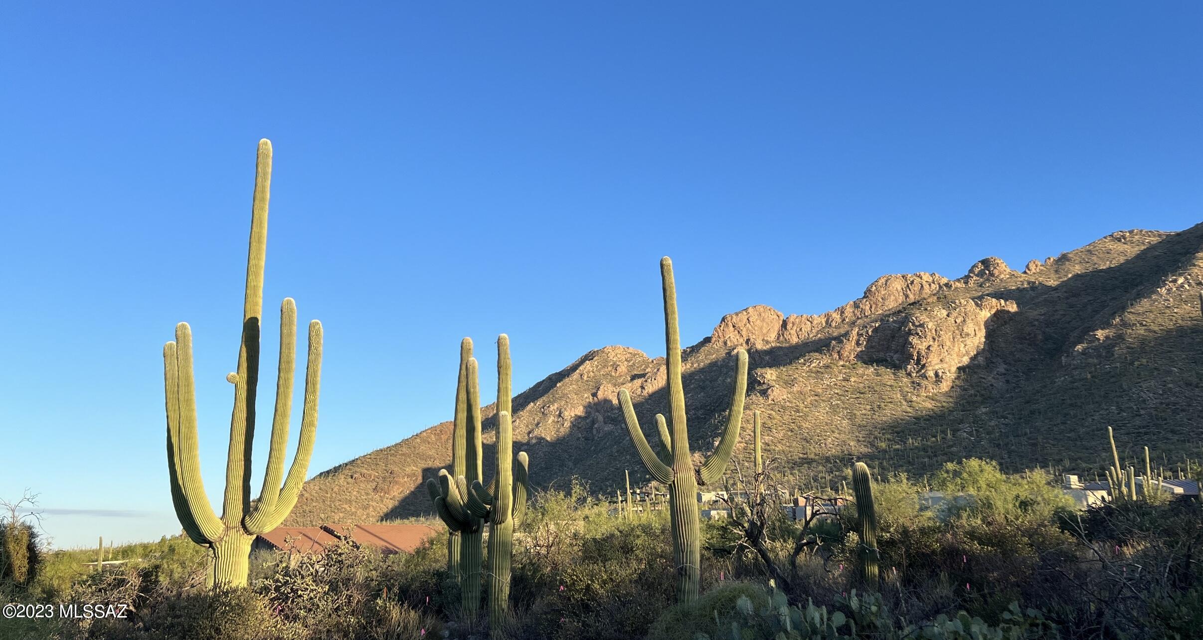 Pima Canyon Estates (1-14) - Residential